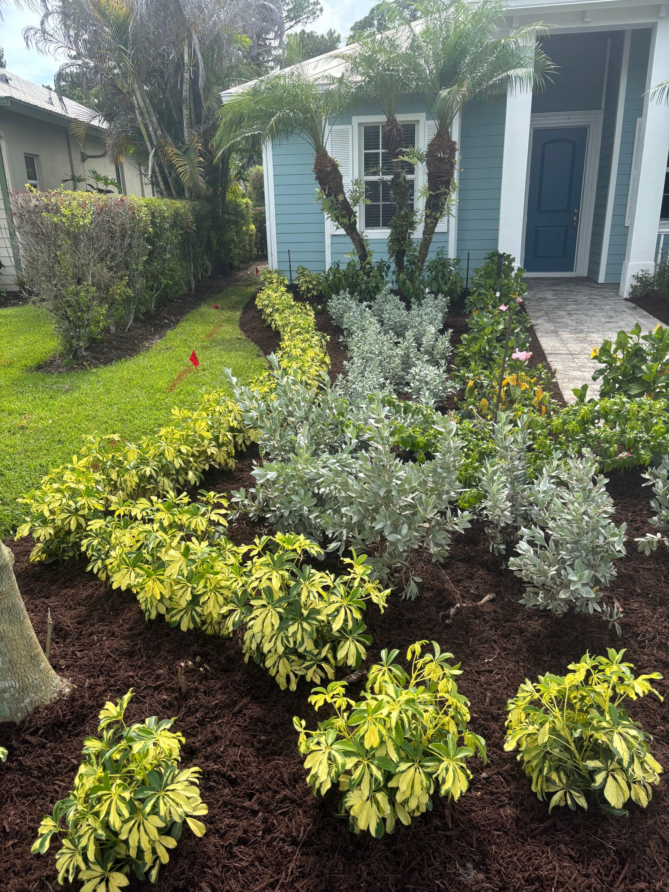 🌴✨ North River Shores Landscape Transformation ✨🌴 by Alpha Zeta Enterprises Inc