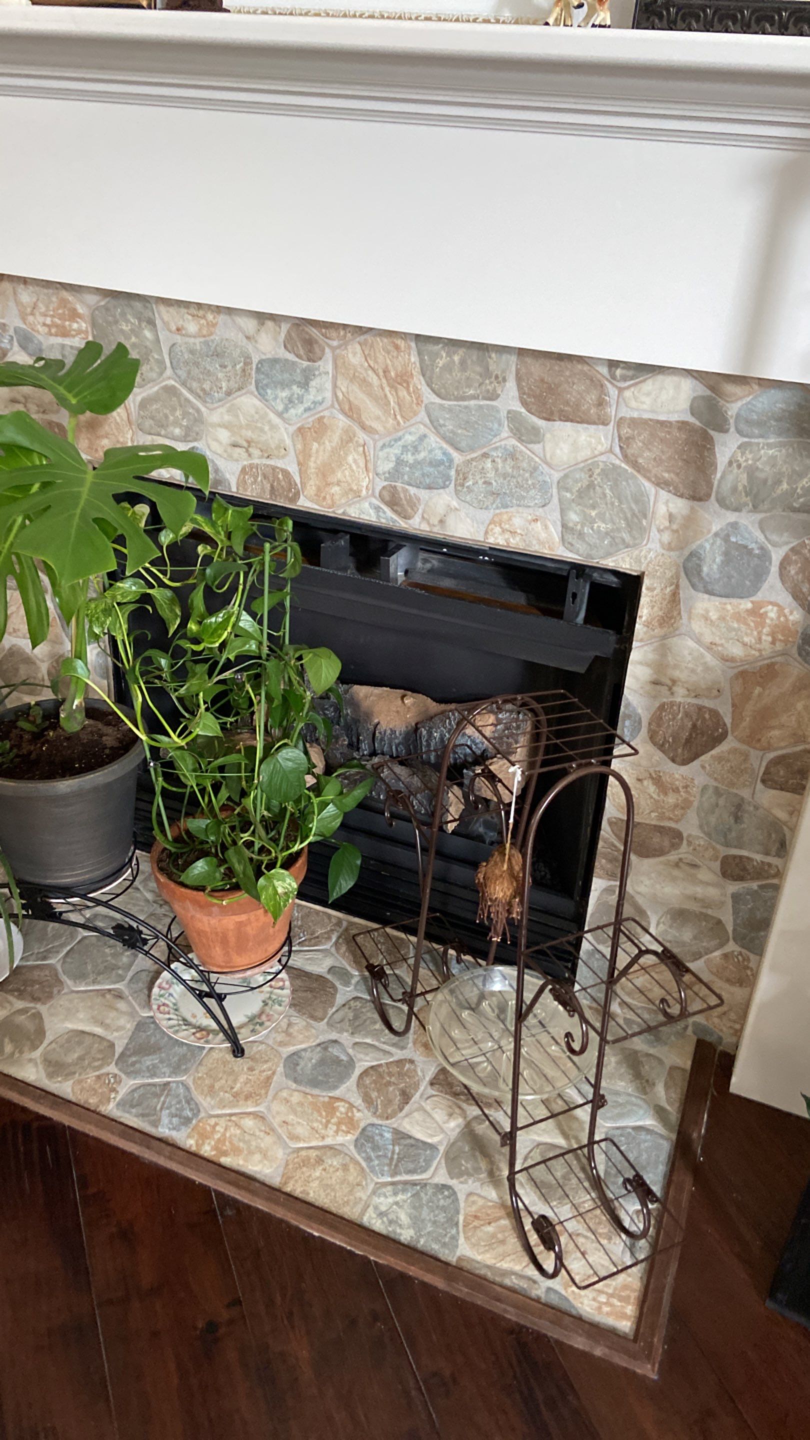 Fire Restoration project by Springtree Restoration 