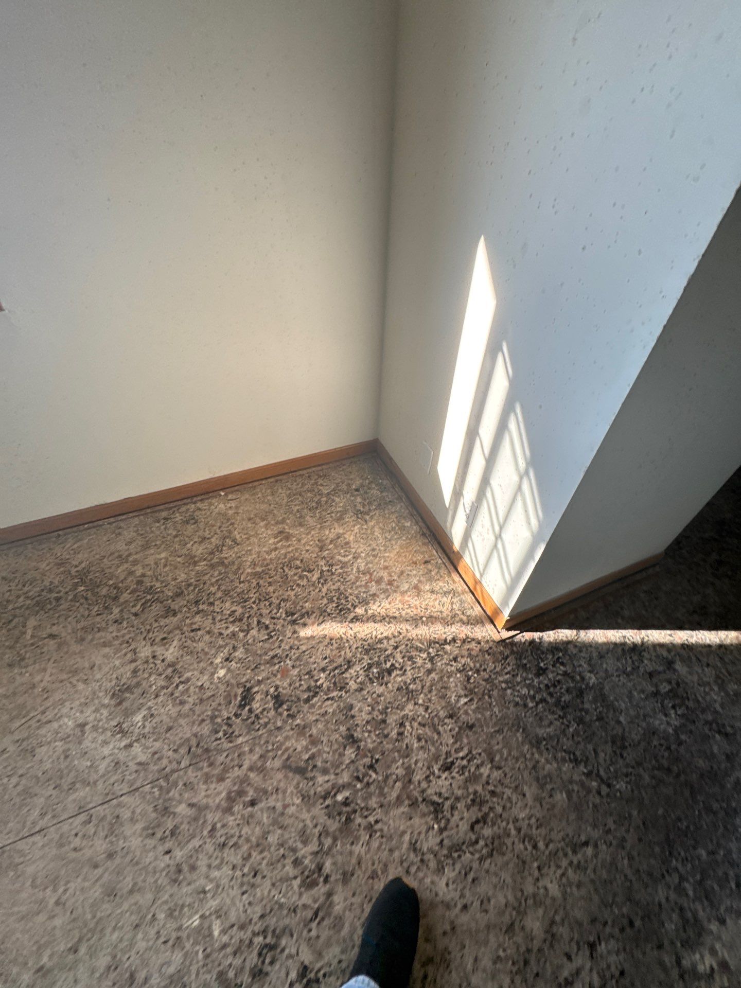 Project in Richmond by EzDry Water Mitigation & Property Restoration