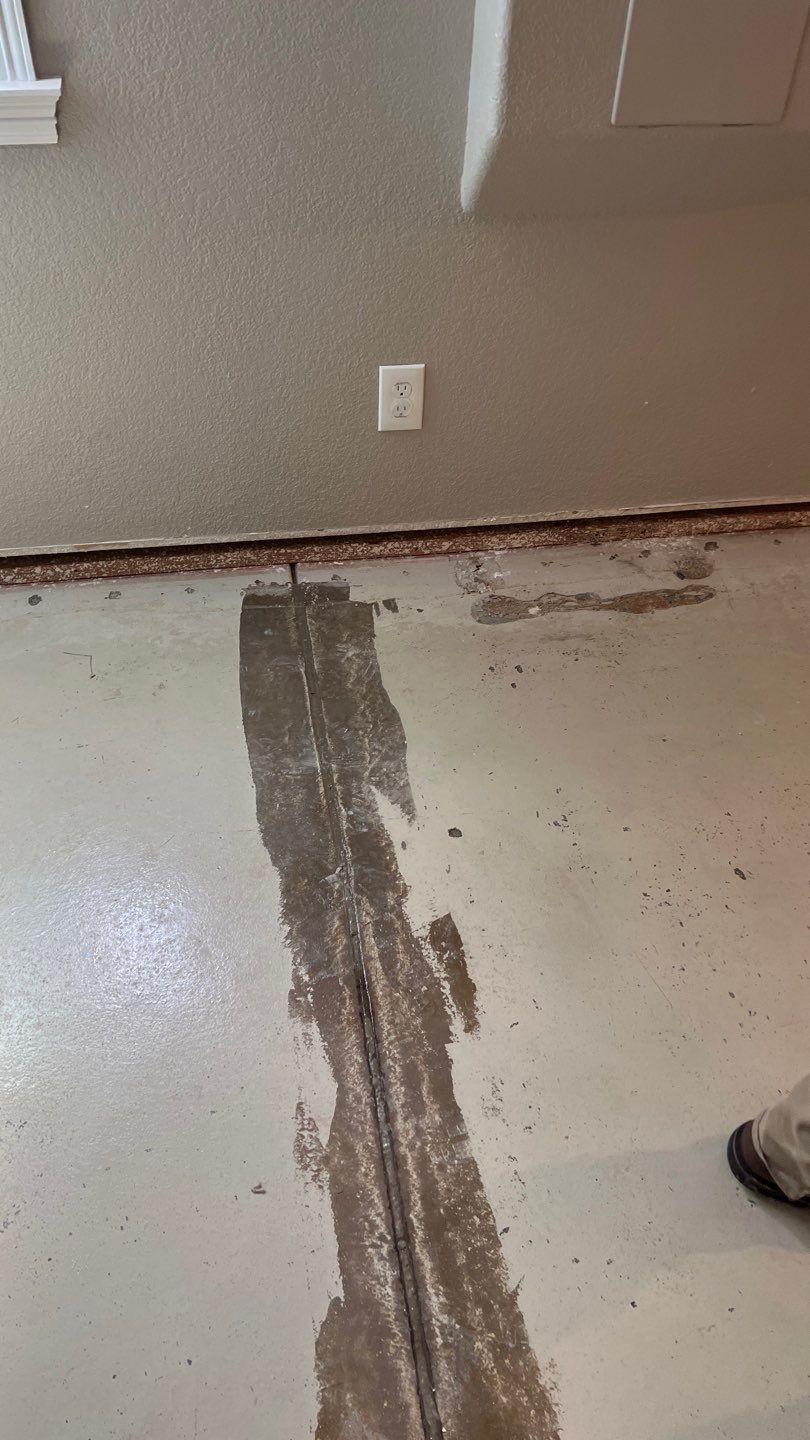 Mold Remediation  by Accountable Home Services