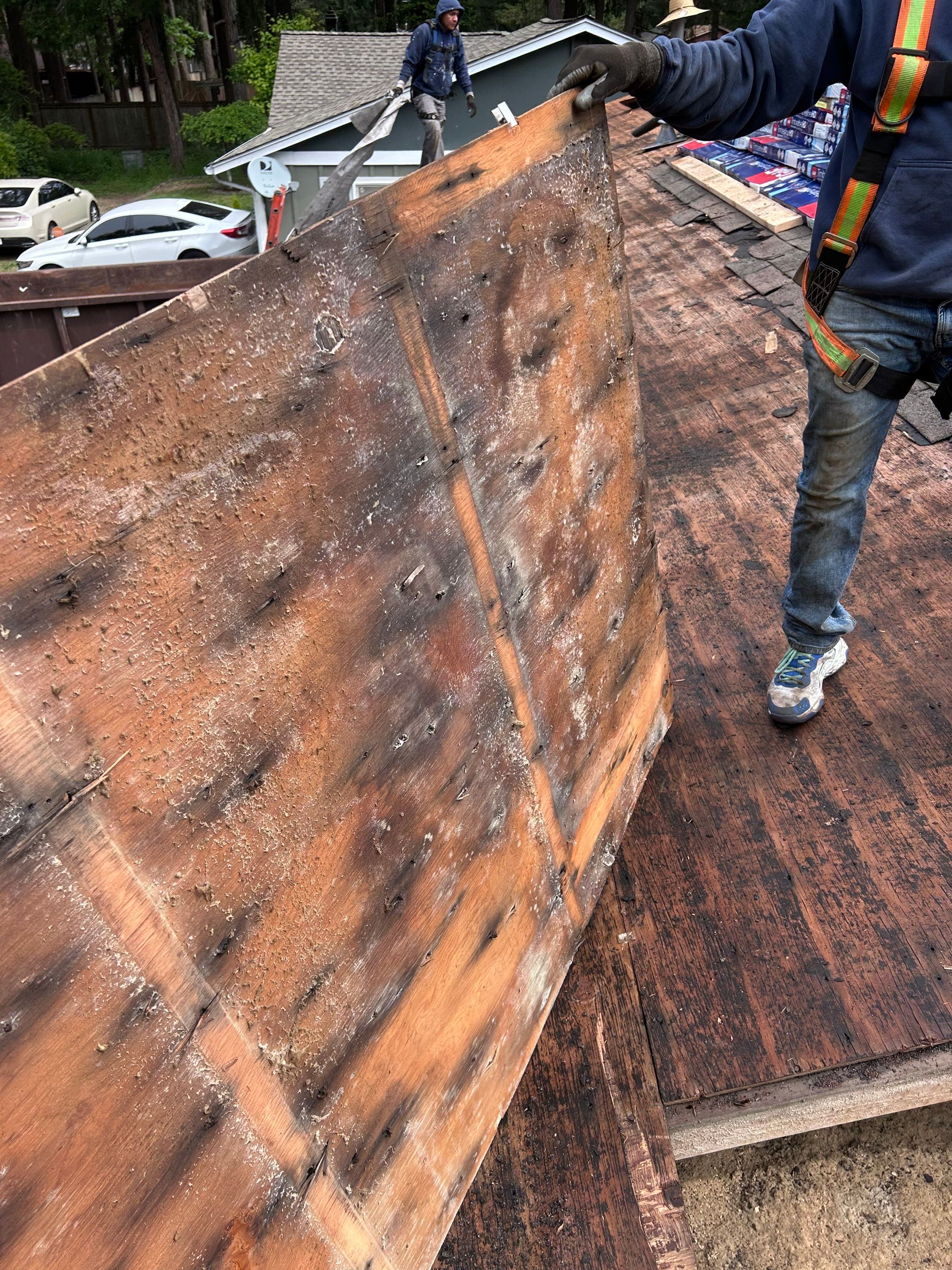 GAF Timberline HDZ, Shakewood by Proline Roofing & Restoration LLC