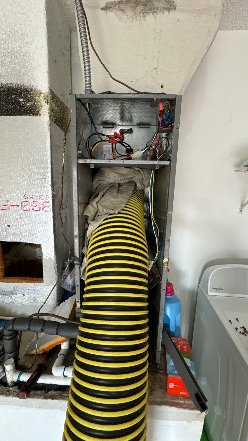 Air Duct Cleaning in Orlando by Hygienic Air, Inc