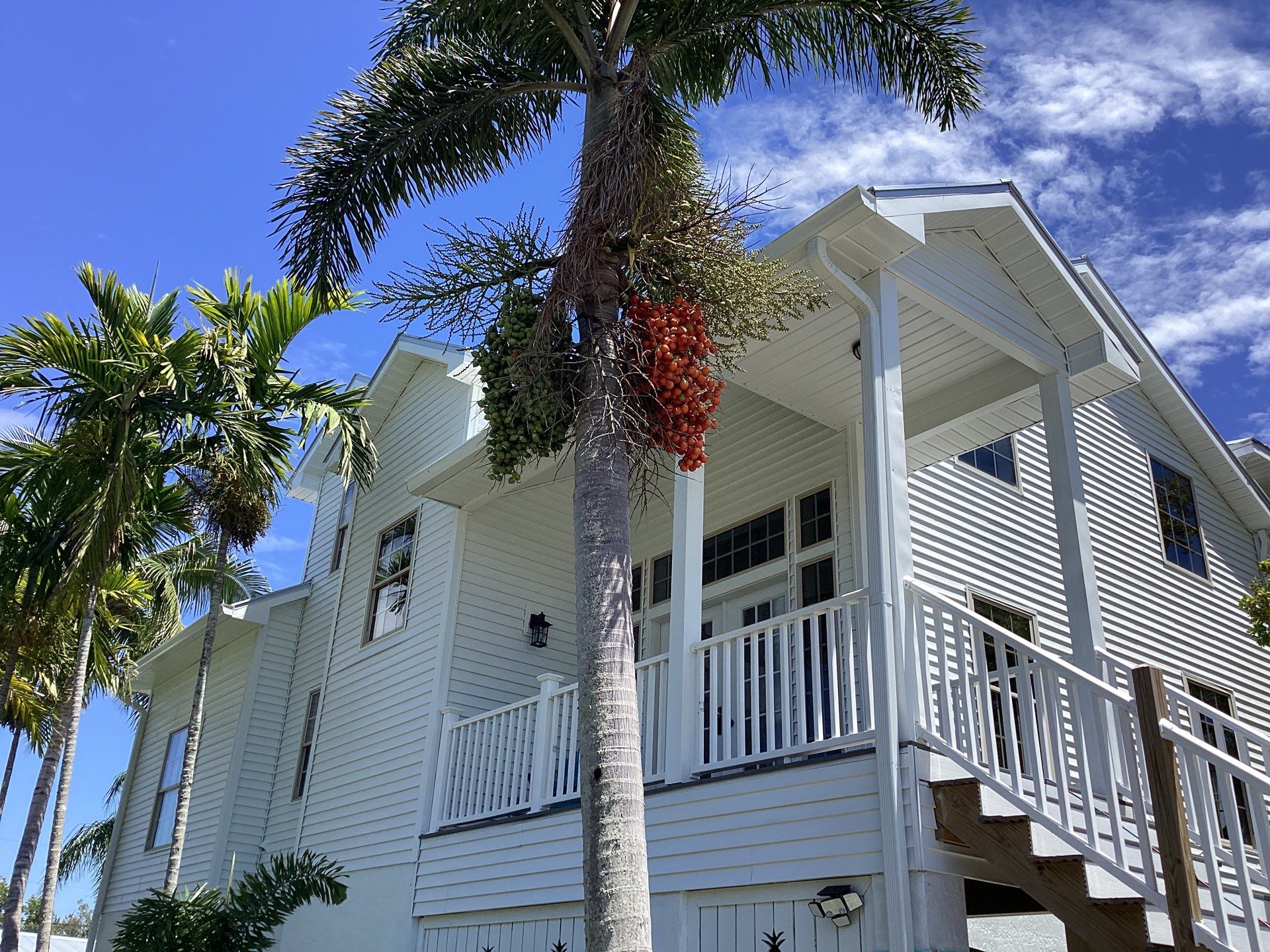 Downspout Extensions for Flood Prevention in Fort Myers FL by Gutter Professors