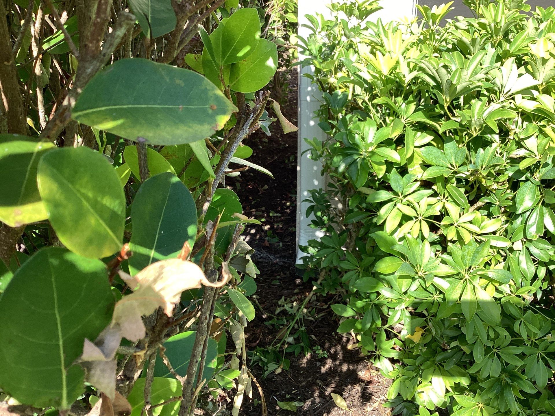 Seamless Gutter Installation for Beach Homes  by Gutter Professors