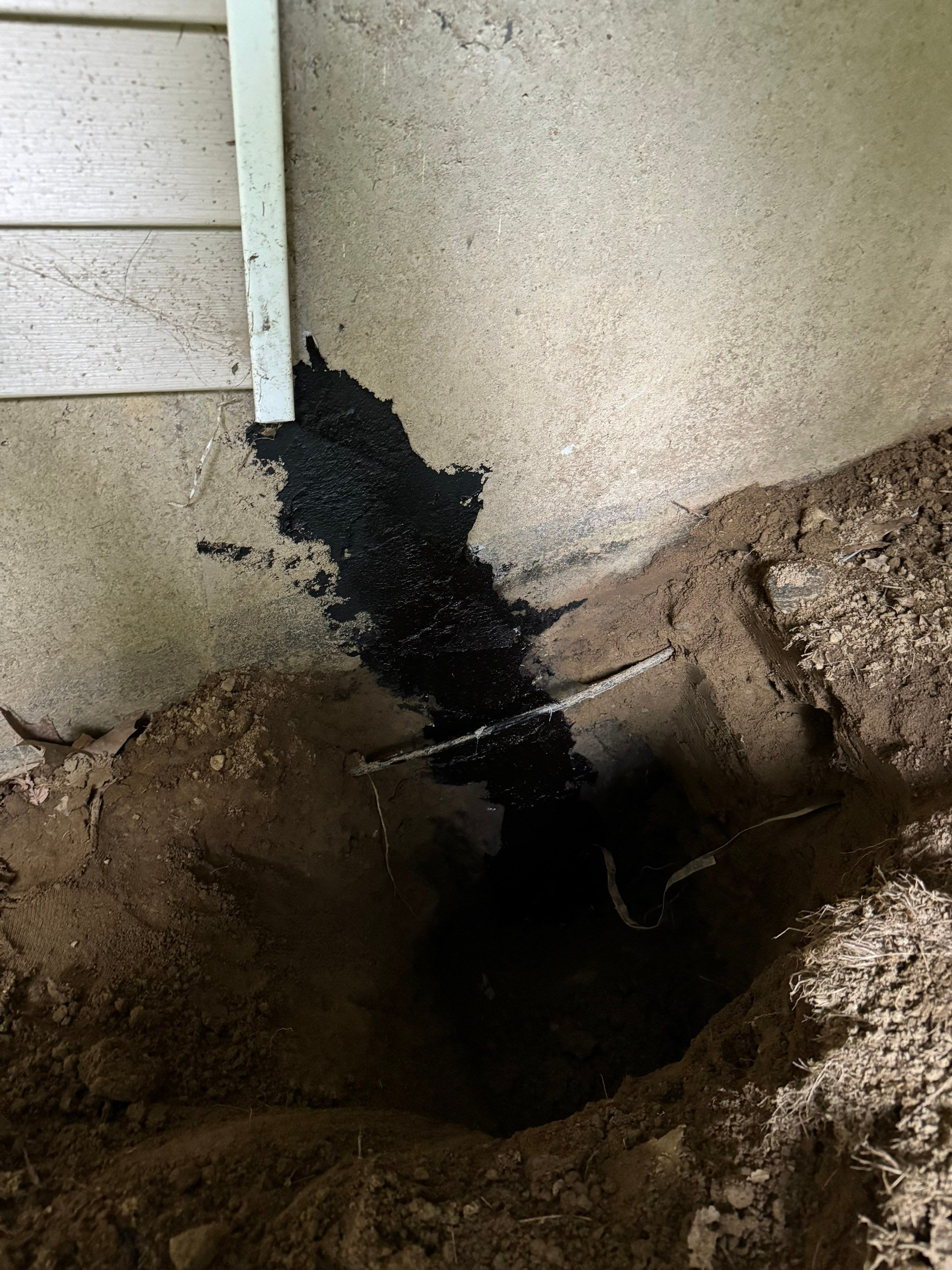 Basement & Livingroom Remediation by Home Guarantee, LLC