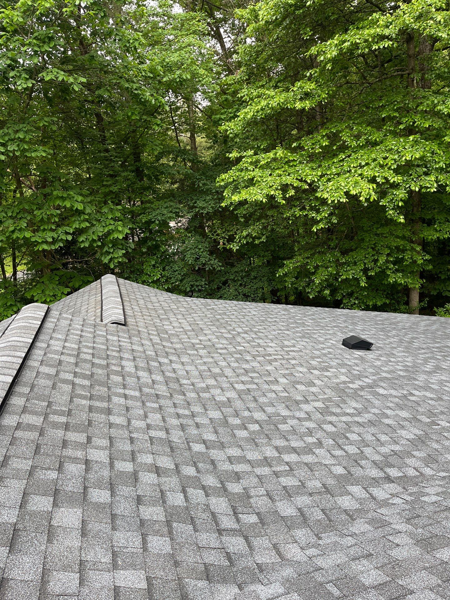 Oakton: Roof Replacement With CertainTeed Landmark Designer Shingles in Pewter by RM Banning, Inc.