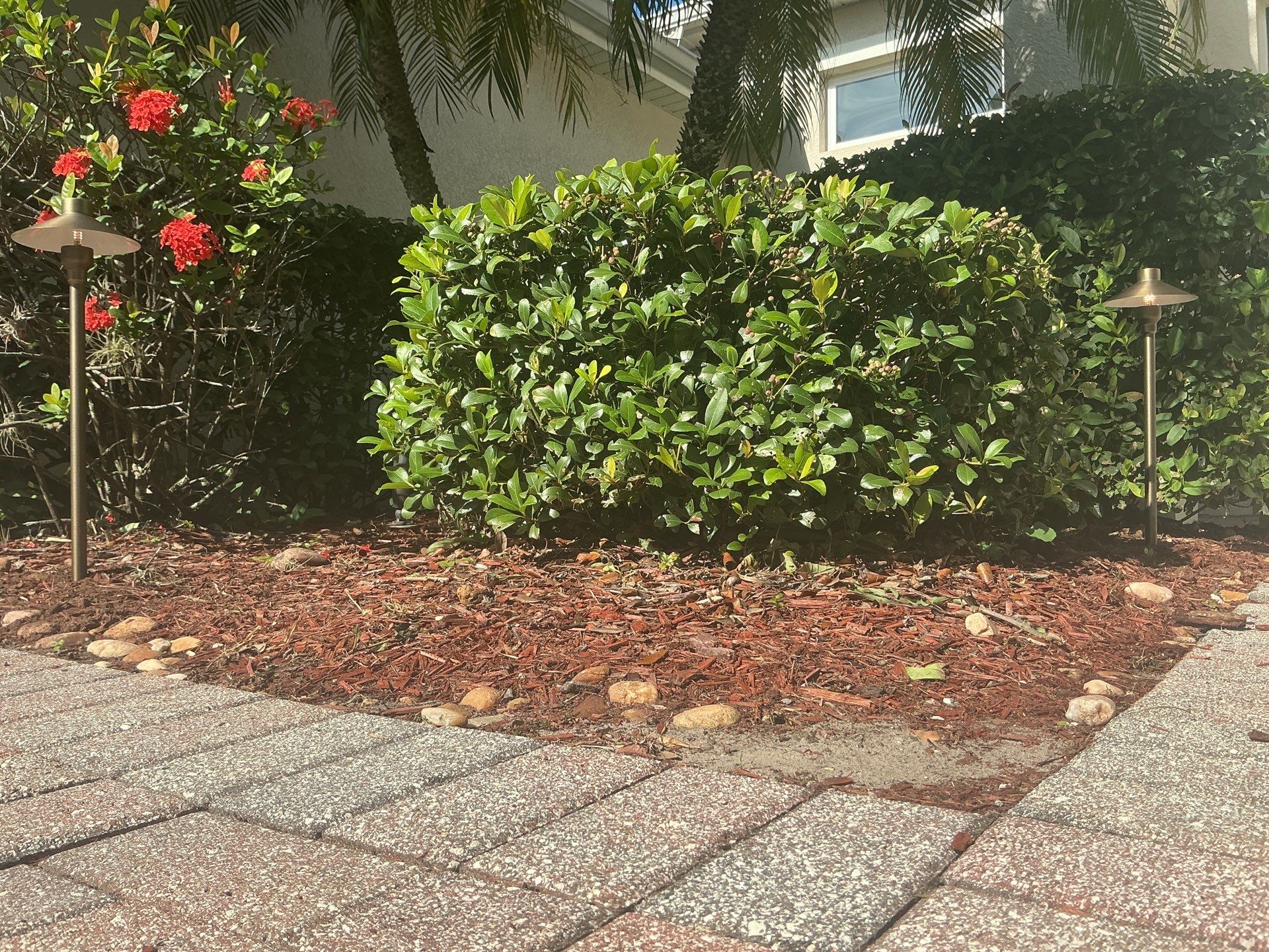 Comprehensive Electrical Upgrades with Electronics Protection & Lighting – Orlando, FL by Smartron Electric