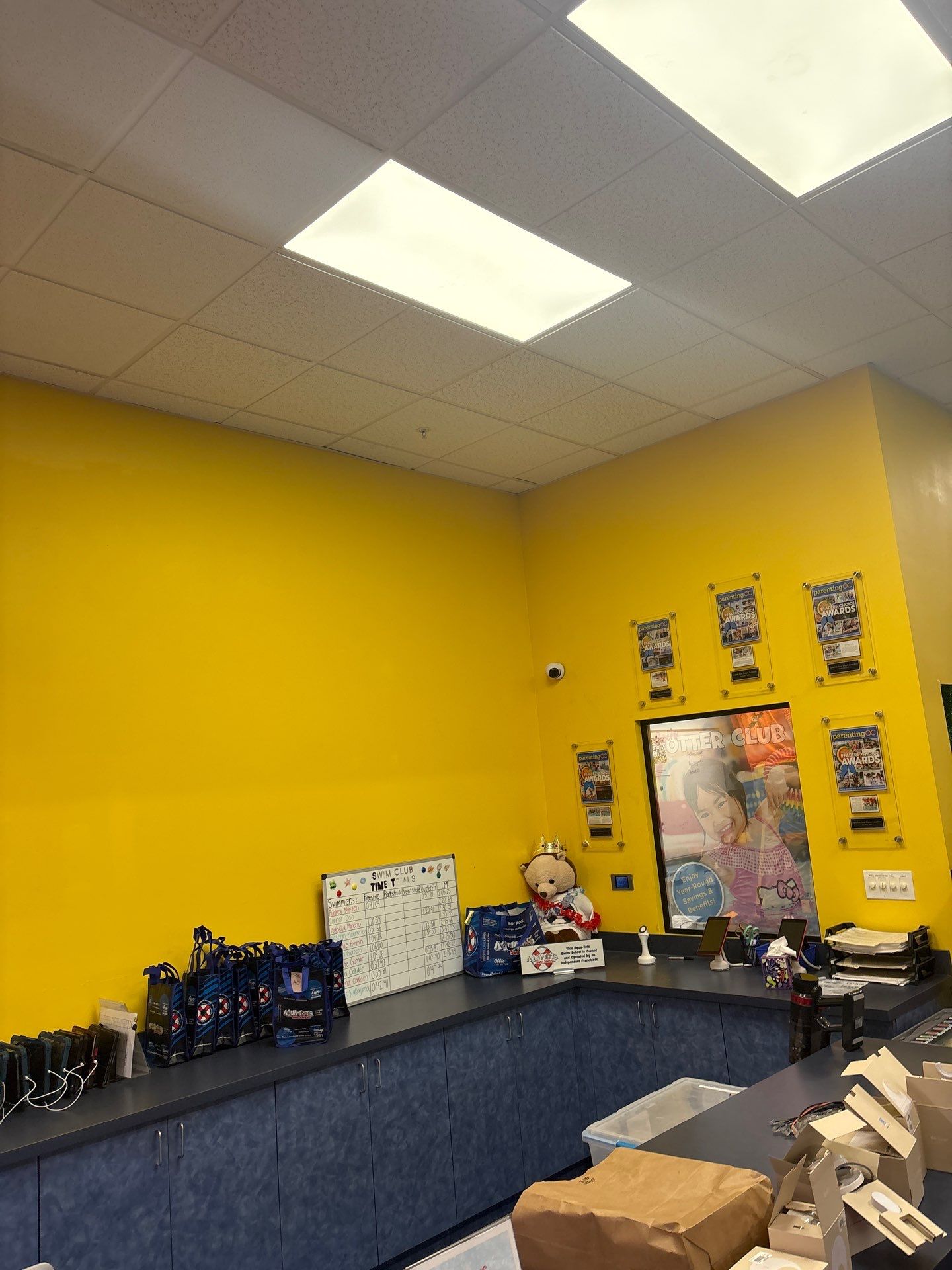 Ubiquiti IP Camera System Upgrade – Costa Mesa, CA by Ring and Ping Inc.