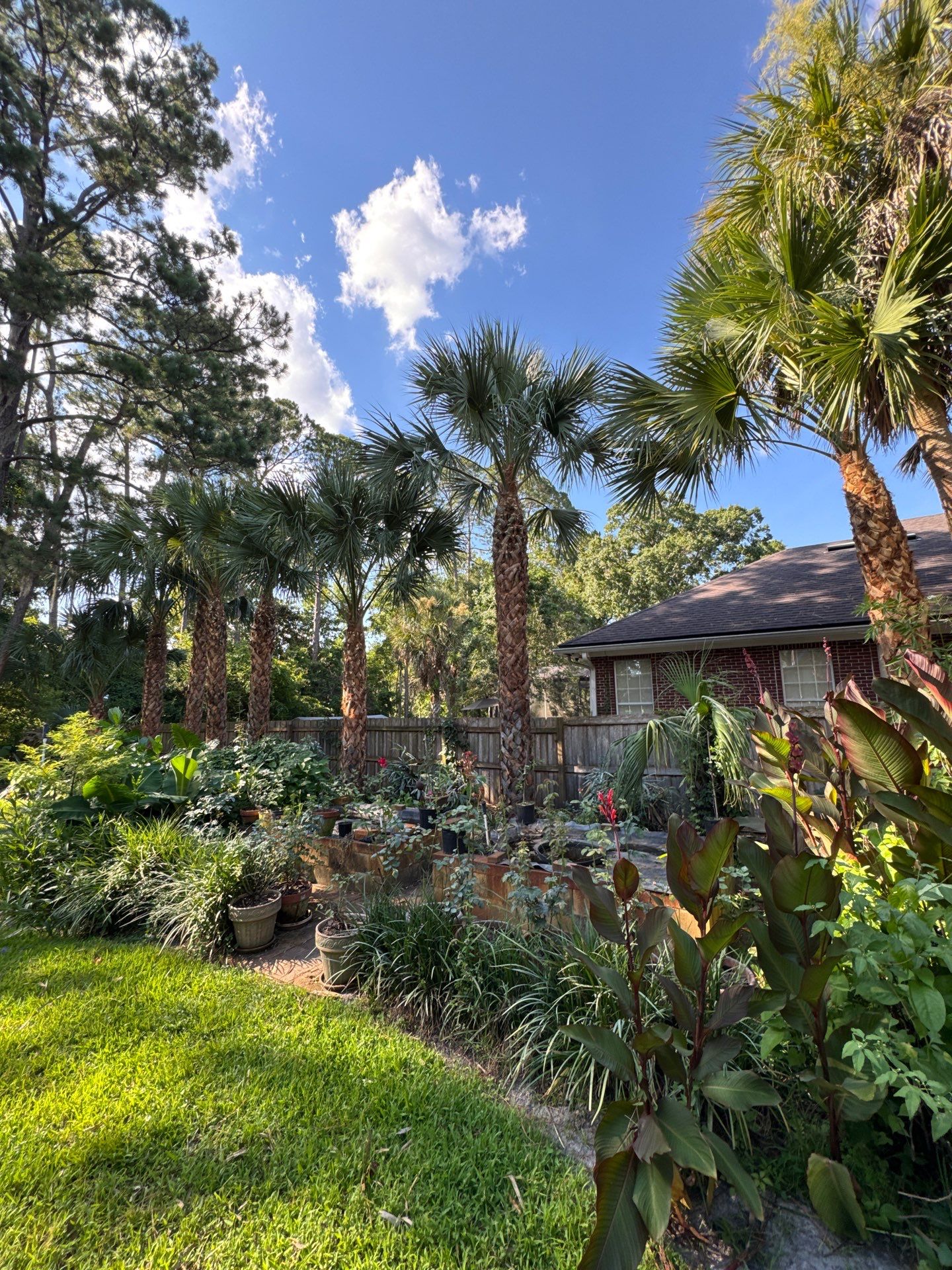 Deerwood Resident | Palm Tree Trimming & Booting by ProGreen Services