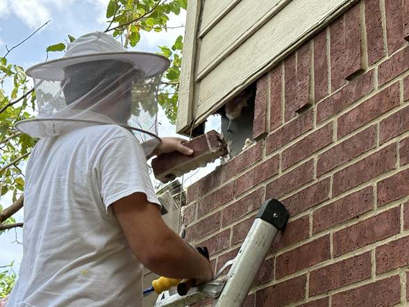 Between Floors by Rockwall Honey Bee Company