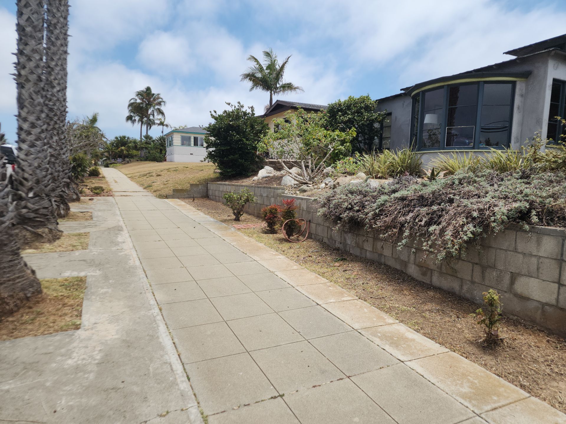 San Diego Landscape Clean Up by Yard Techs