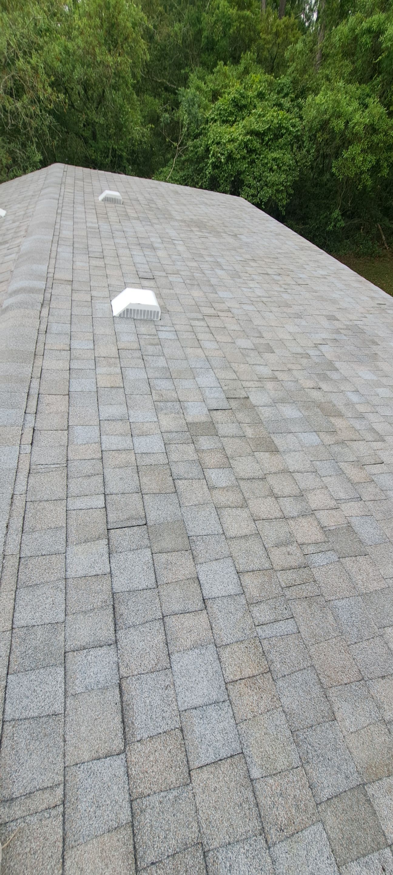 Shingle Reroof Replacement Deland FL by Pinnacle Roofing Group