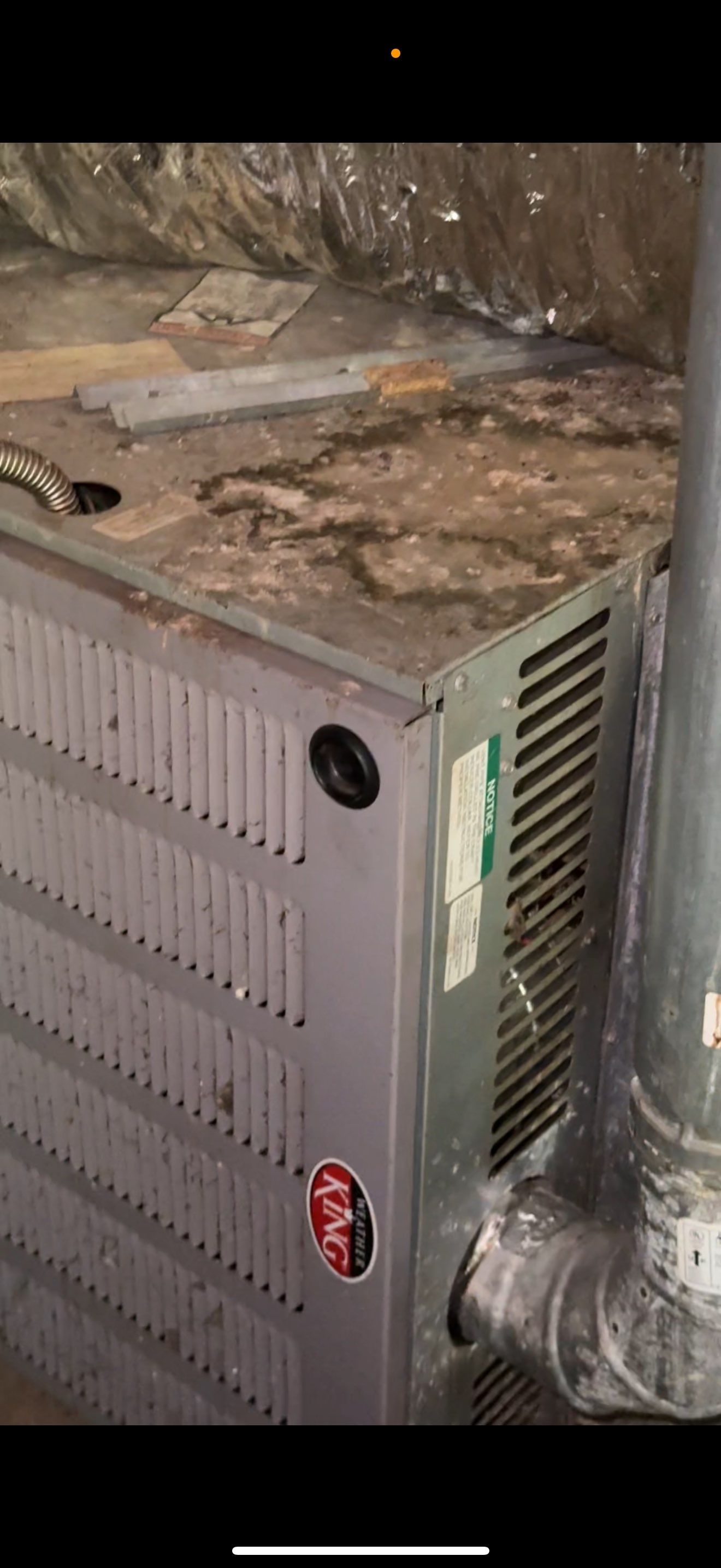 BIOHAZARD PIGEON FECES by Sadie’s Pro Cleaning