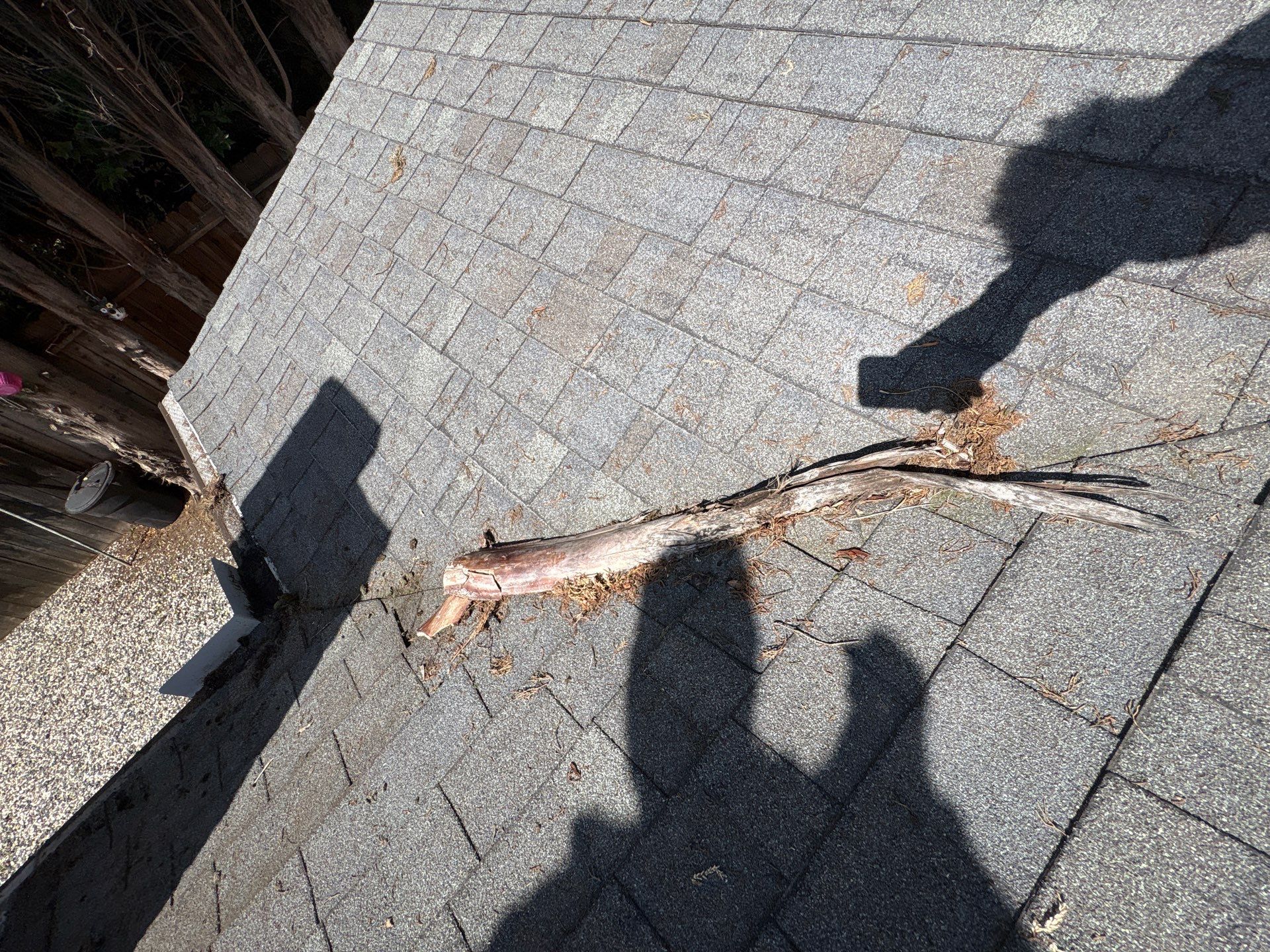 Roof Rejuvenation using Roof Maxx Treatment by Roof Maxx of Folsom