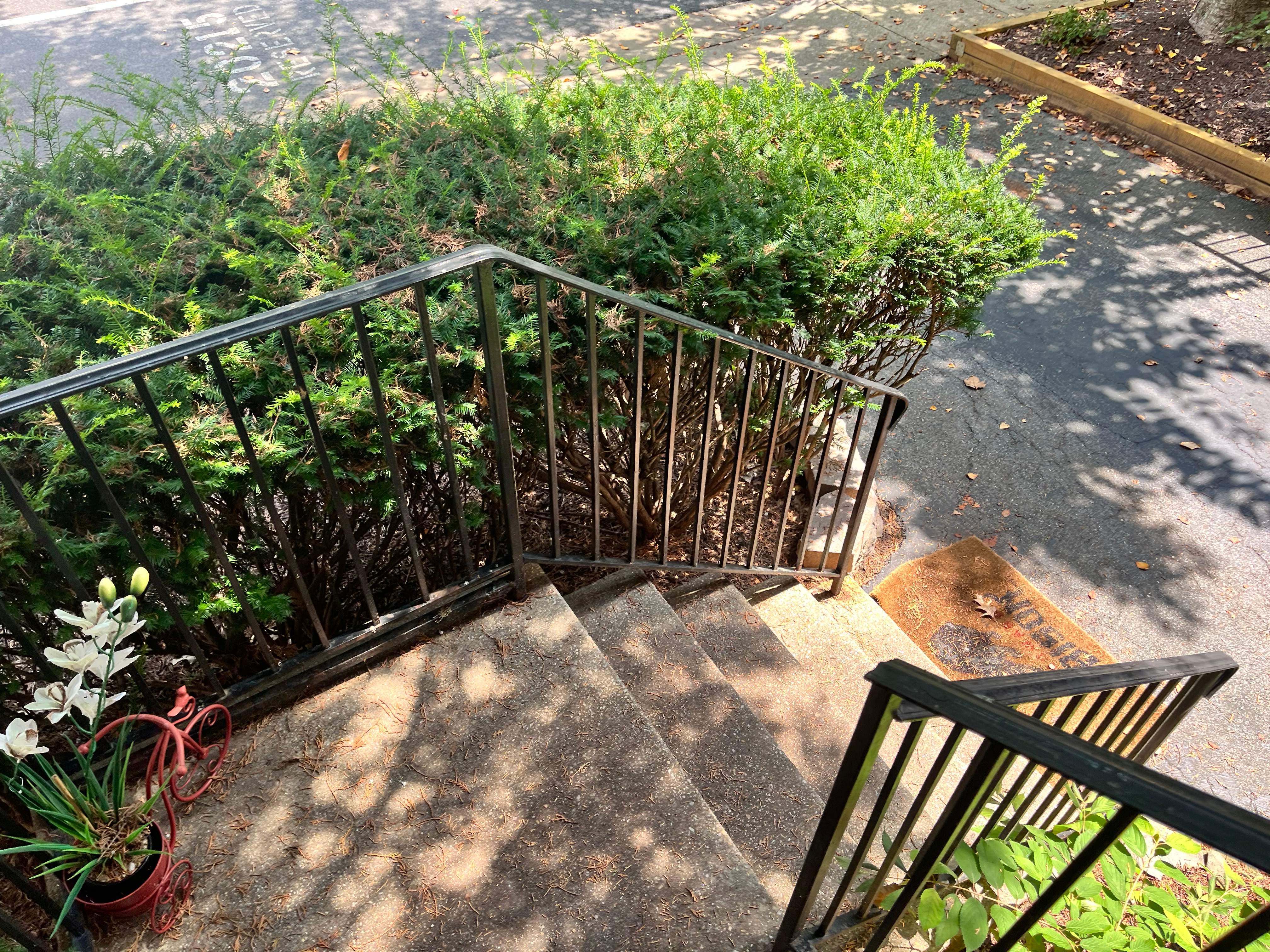 Black Metal Handrail Installation for Damascus Residential Entryway by Capitol Iron Works