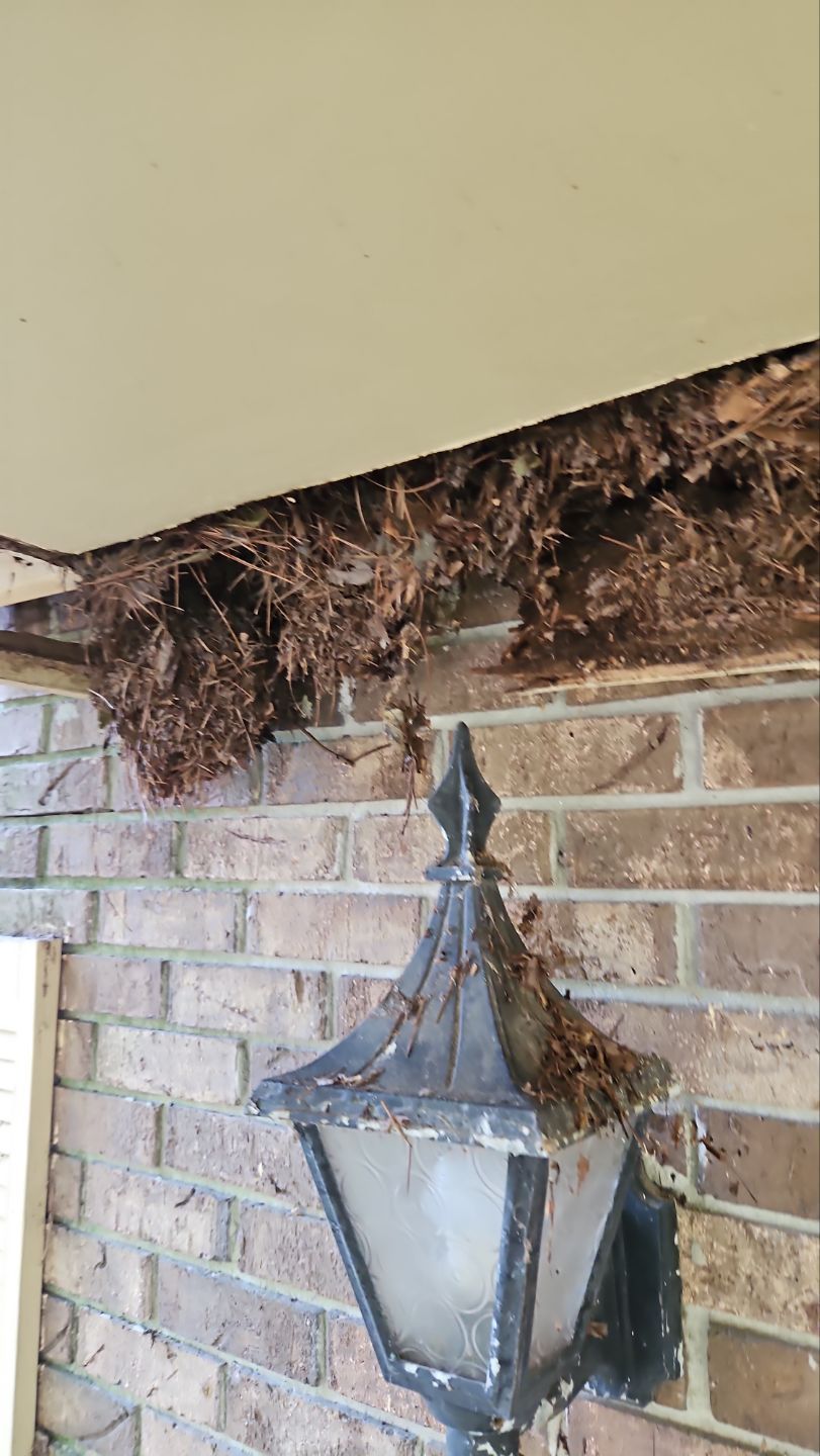 NEW ROOF WITH TRIM RESTORATION by Indigo State Roofing