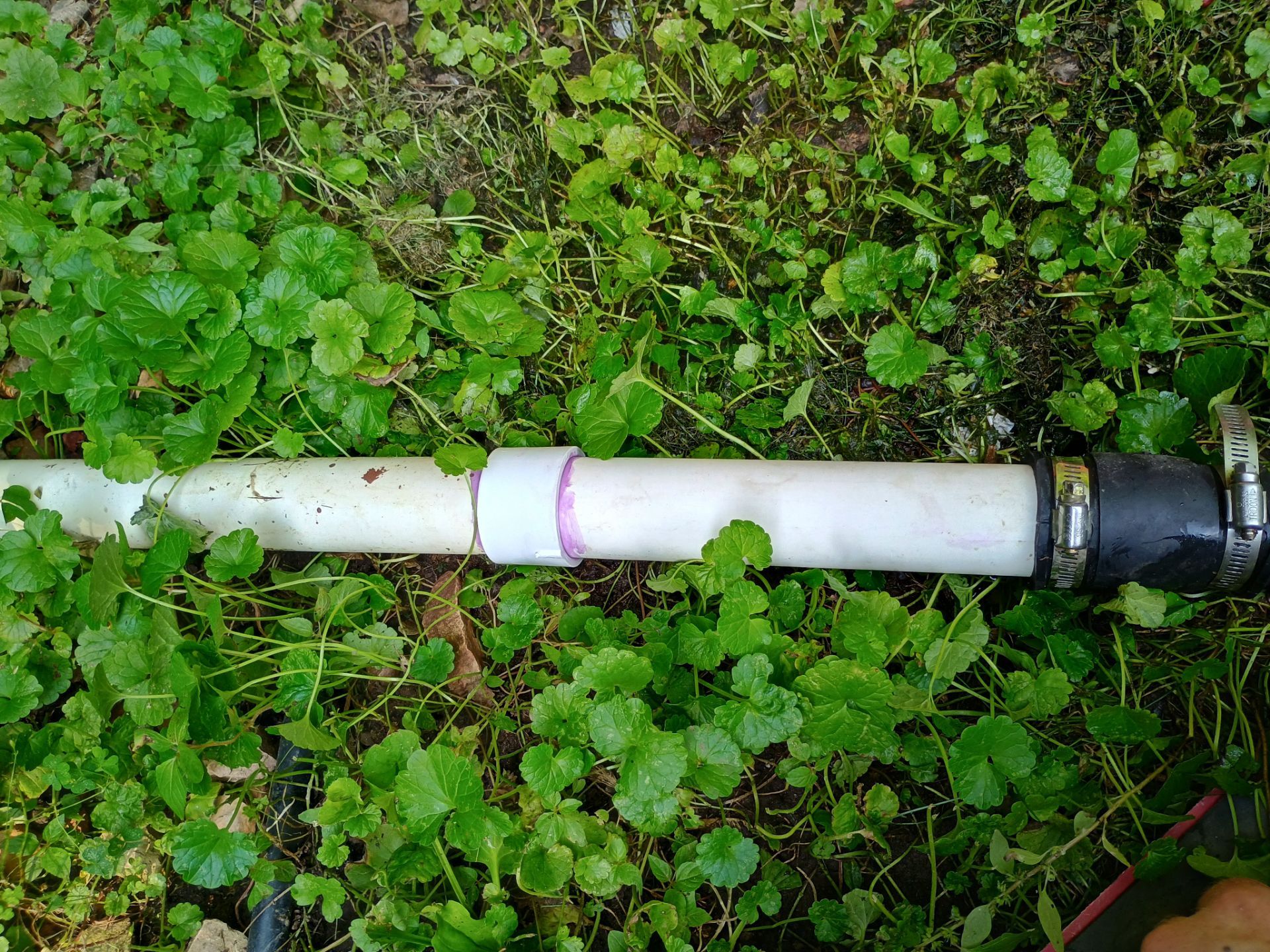 Sump Pump & Discharge Upgrade in St. Anthony, MN by Waterproofing Northeast