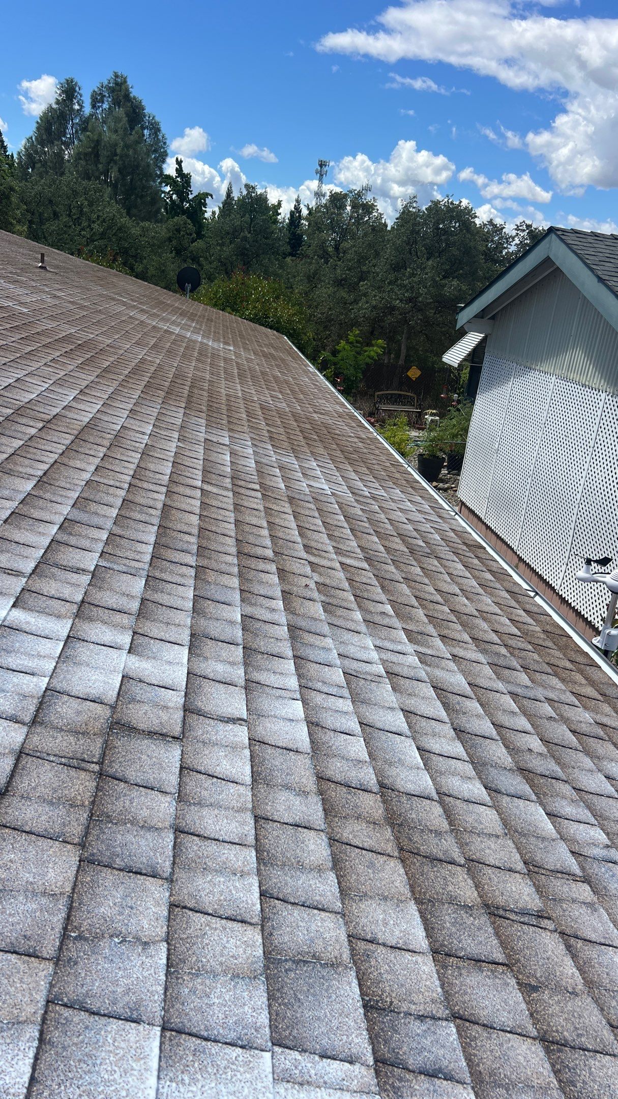 Roof Rejuvenation using Roof Maxx Treatment by Roof Maxx of Folsom