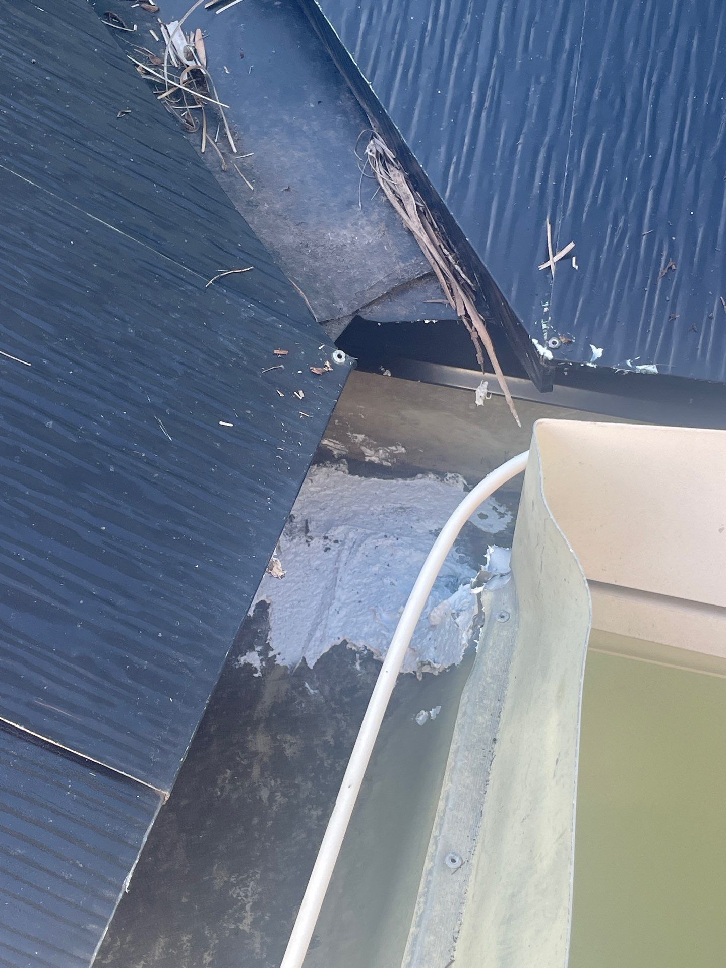 Cleaning Gutters in Sarasota FL by Gutter Professors