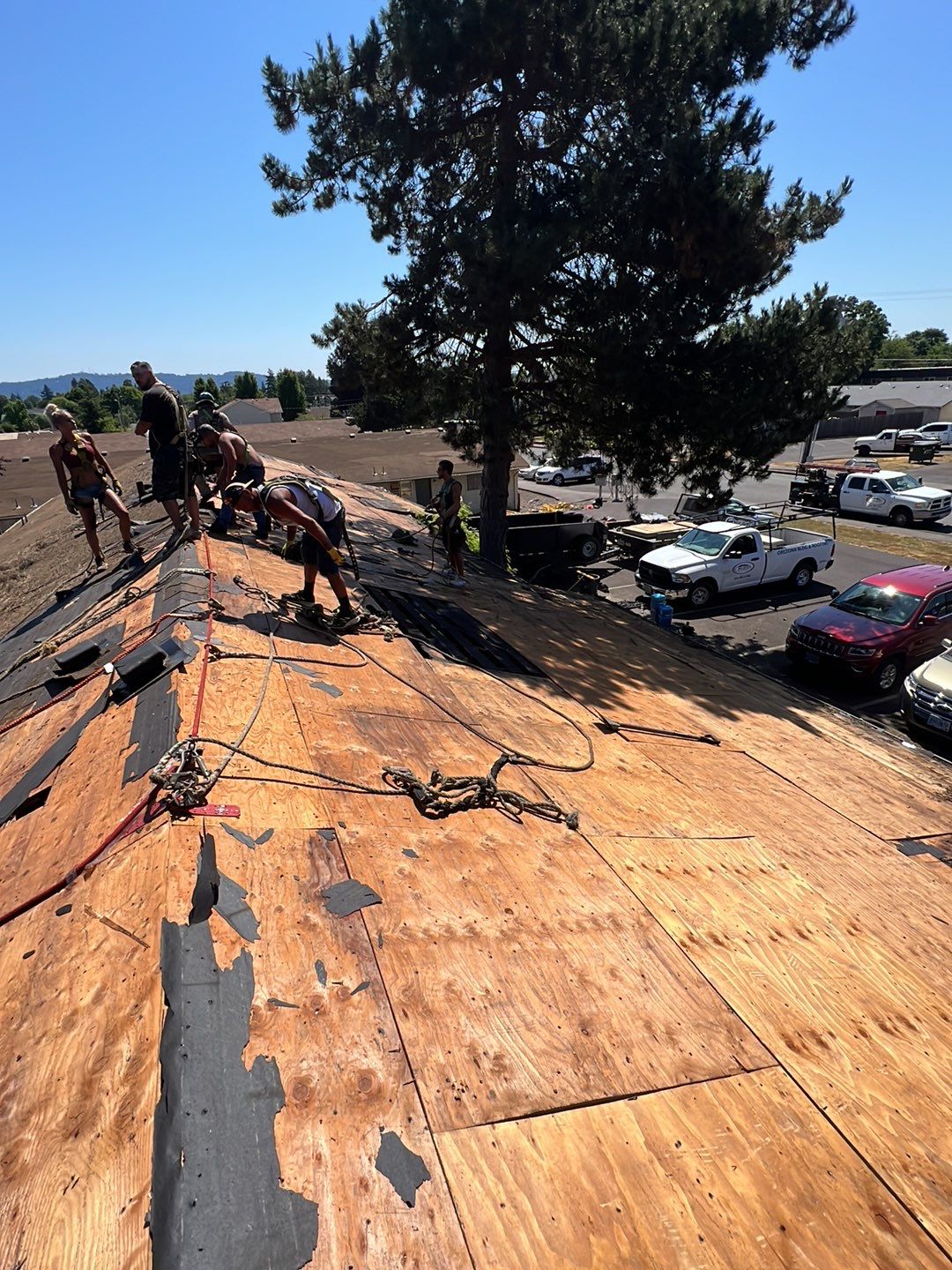 Residential Roofing Installation using IKO Dynasty (Color: Brownstone) by Orezona Building & Roofing Company, Inc.