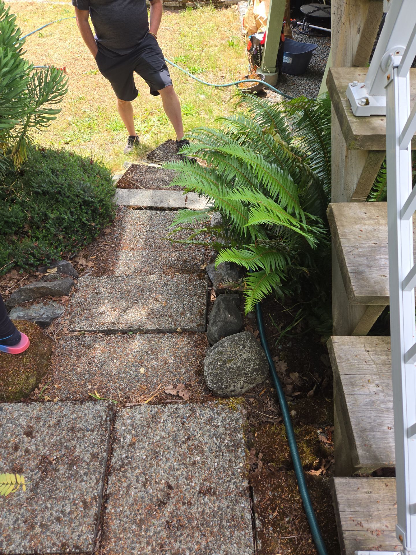 Complete Landscape Transformation - Esquimalt, BC by Habanero Garden and Exterior Care