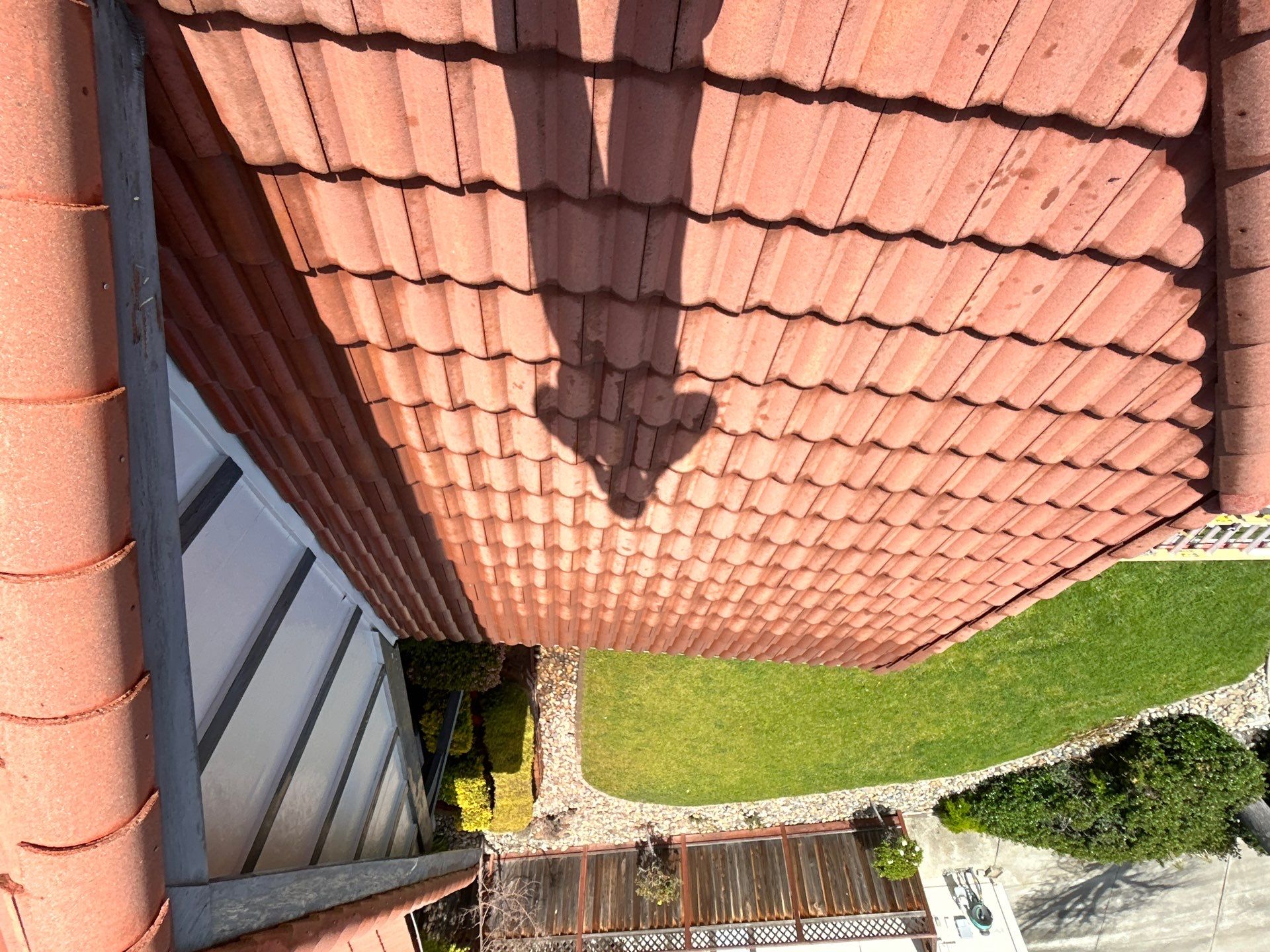 Insurance Renewal-Roof Cleaning by All One Solar Shine