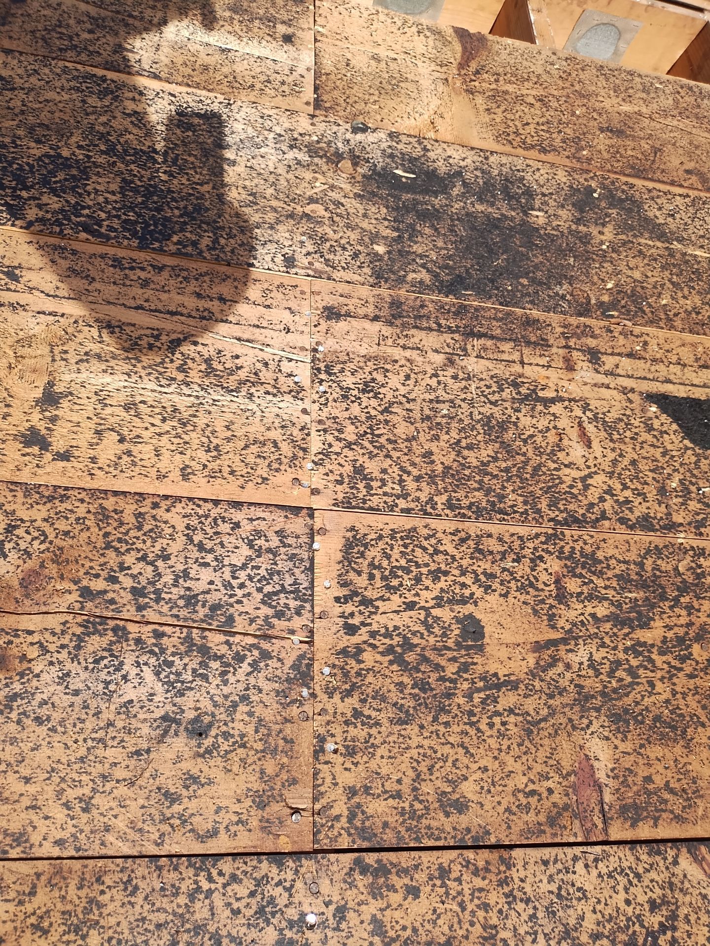 Project in St. Petersburg 33710 by Mitchell Roofing Company LLC 