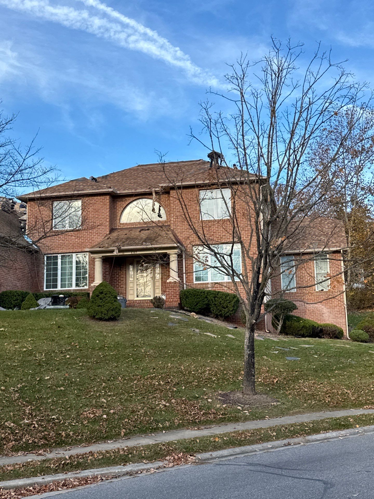 New Roof Replacement  by Alpha Design Services