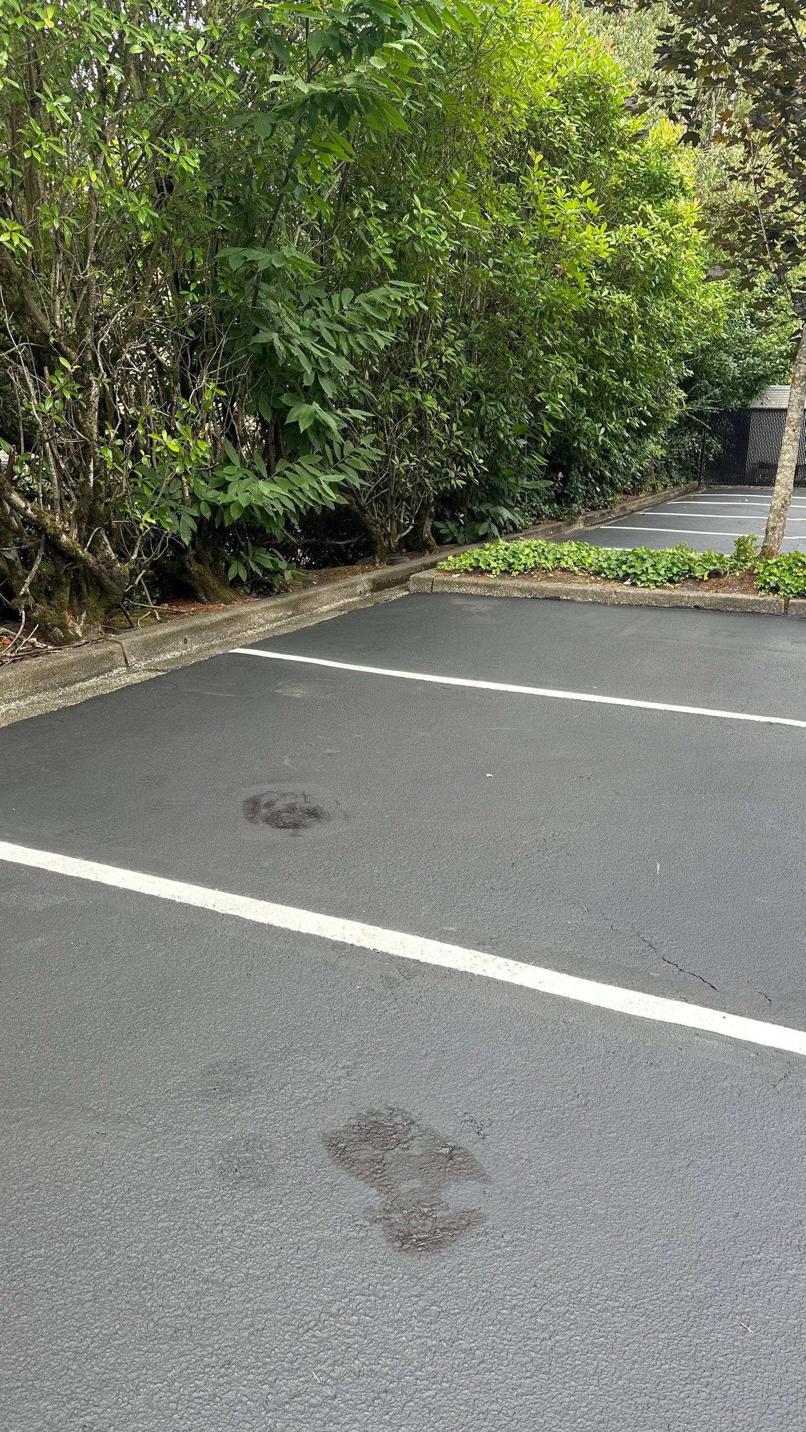 Eastside Preparatory School | Asphalt & Striping  by Jireh Asphalt & Concrete Inc 