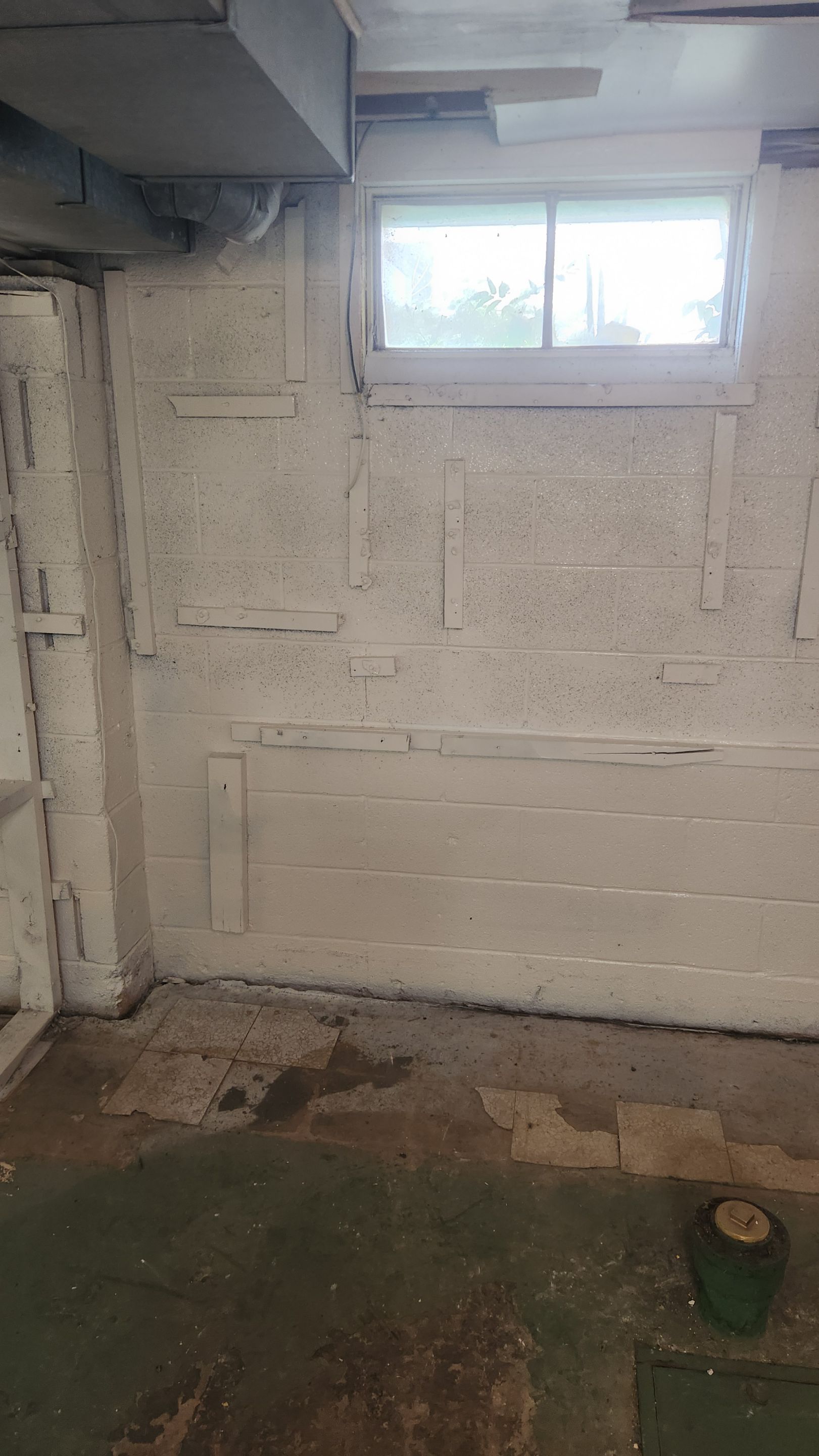 Interior French Drain & Mold Remediation Project in Manville, New Jersey by Pure Service Pro, LLC 