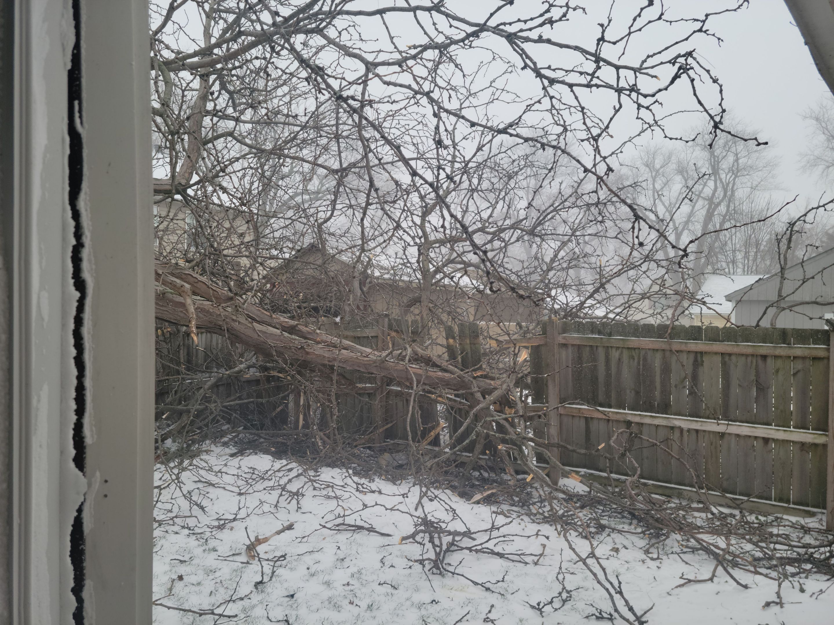 Storm Damaged Tree Removal  using Tree Removal by Mike Jones & Sons Tree Service LLC 