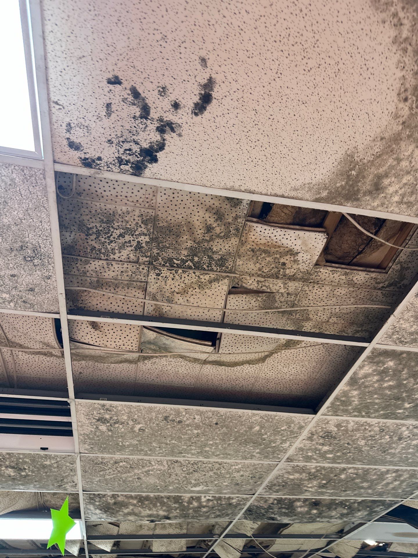 Extreme Mold Contamination: Full-Building Remediation Case Study by BlueRed Restoration