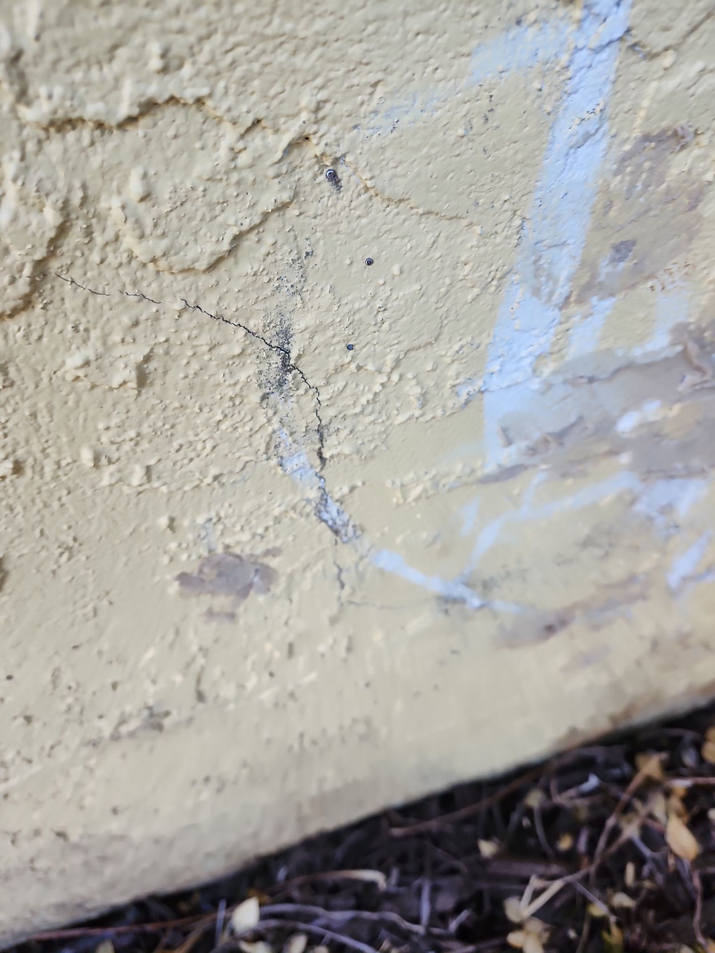 Project in Sarasota by Sunbelt Home Solutions