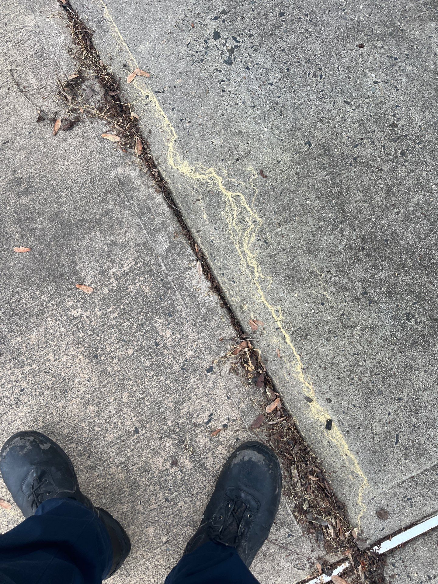 Rosemount Estates, Marlboro, NJ by Clearview Washing