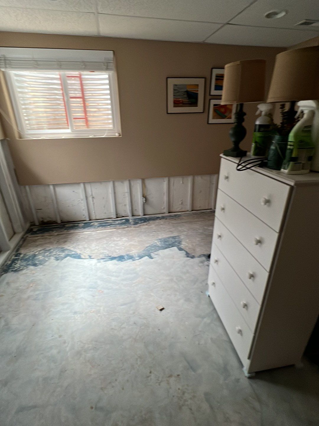 Mold Damage by Accountable Home Services