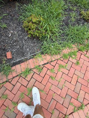 Window Cleaning in Montgomery, NJ — Gallo Bros job photo