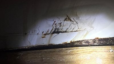 Fire & Smoke Restoration — Cape Coral, FL