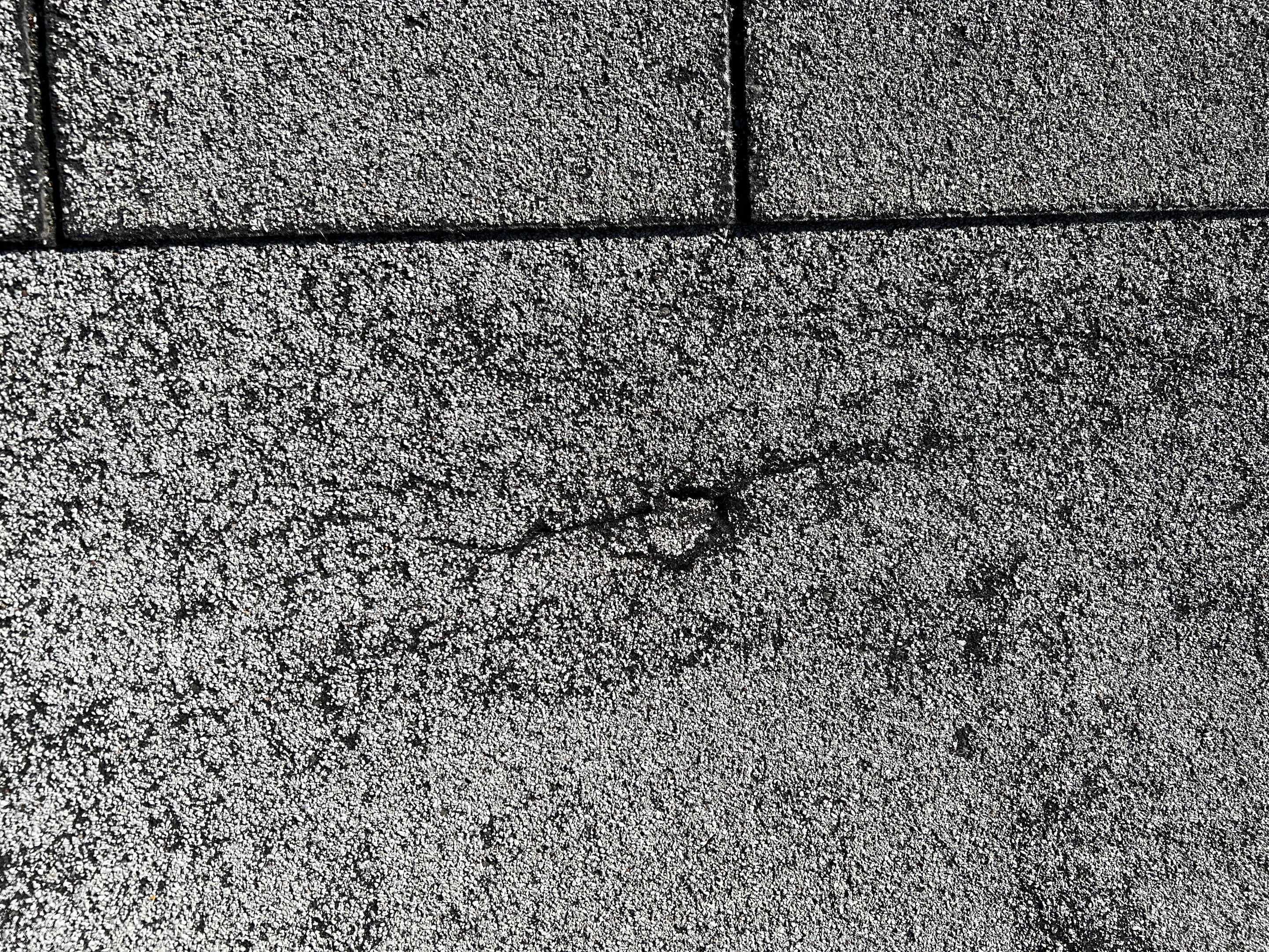 Patricia's Full Re-Roof by All Storm Roofing & Construction