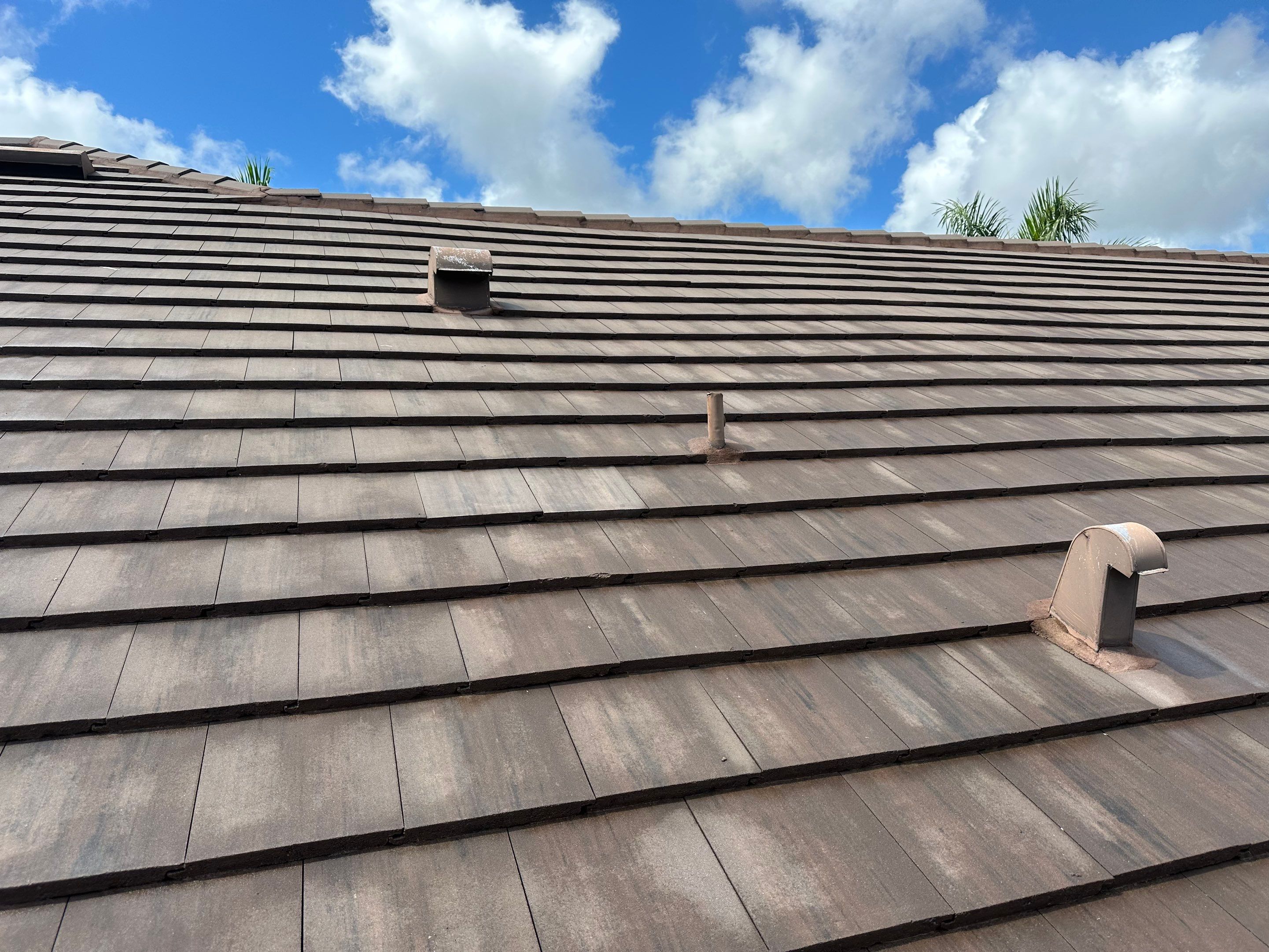 Flat Tile Roof Cleaning, House Wash & Sidewalk Cleaning in Enclave at Country Meadows, Bradenton, FL | Sunshine AquaWash by Sunshine AquaWash