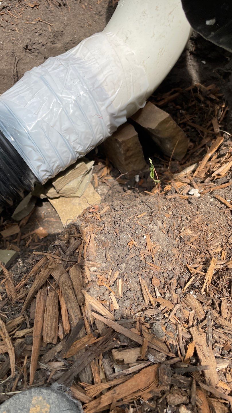 Drain Tile, Window Wells & Buried Discharge in Minneapolis by Waterproofing Northeast