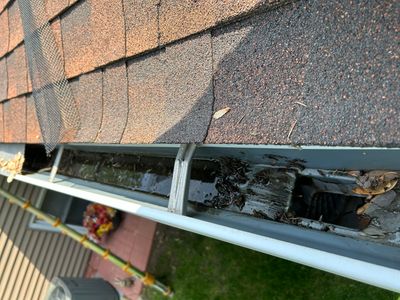 Turtle Shell gutter protection installation in Shorewood, IL 60404, photograph 10
