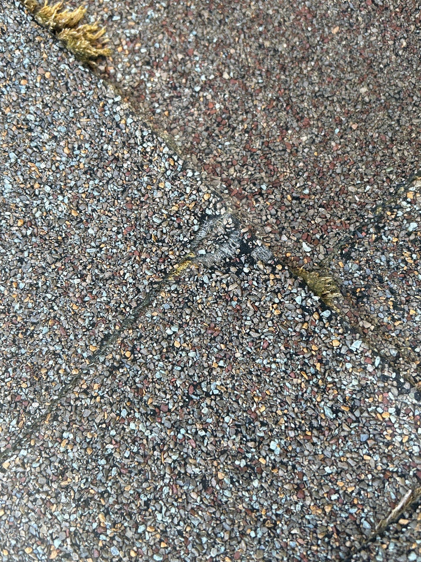 Project in Mount Vernon by Connolly Construction Company