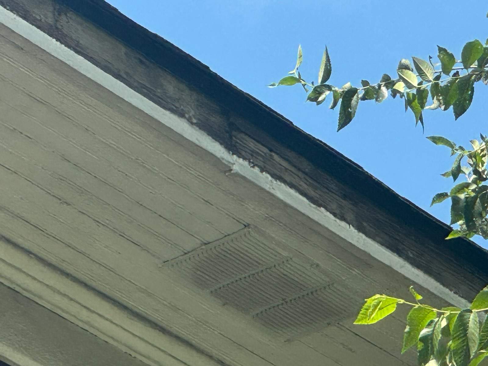 Ferndale Exterior Trim Restoration and Gutter System Installation by Top Shelf Painter