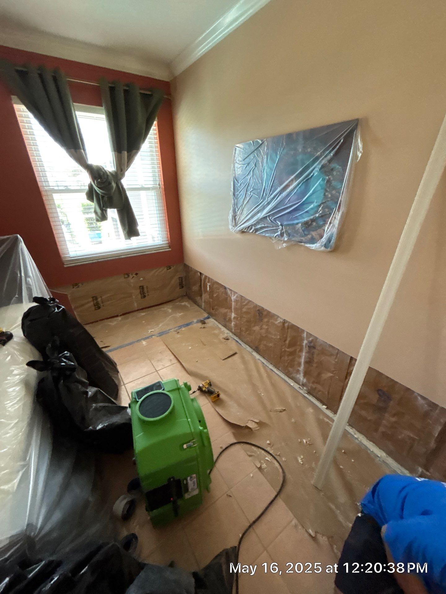 Mold Removal & Remediation  by Ampm Restoration Services 