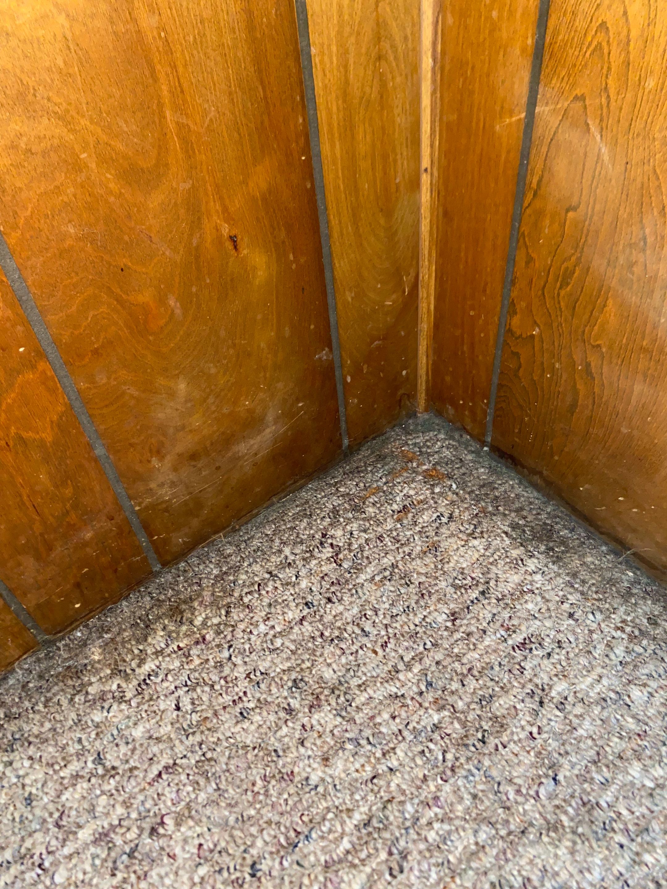 Roof Leak by Chicagoland Water Medics