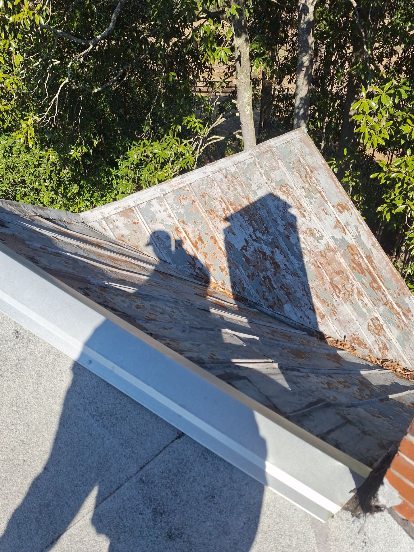 Residential Roofing Sealant  by iGreen Solutions