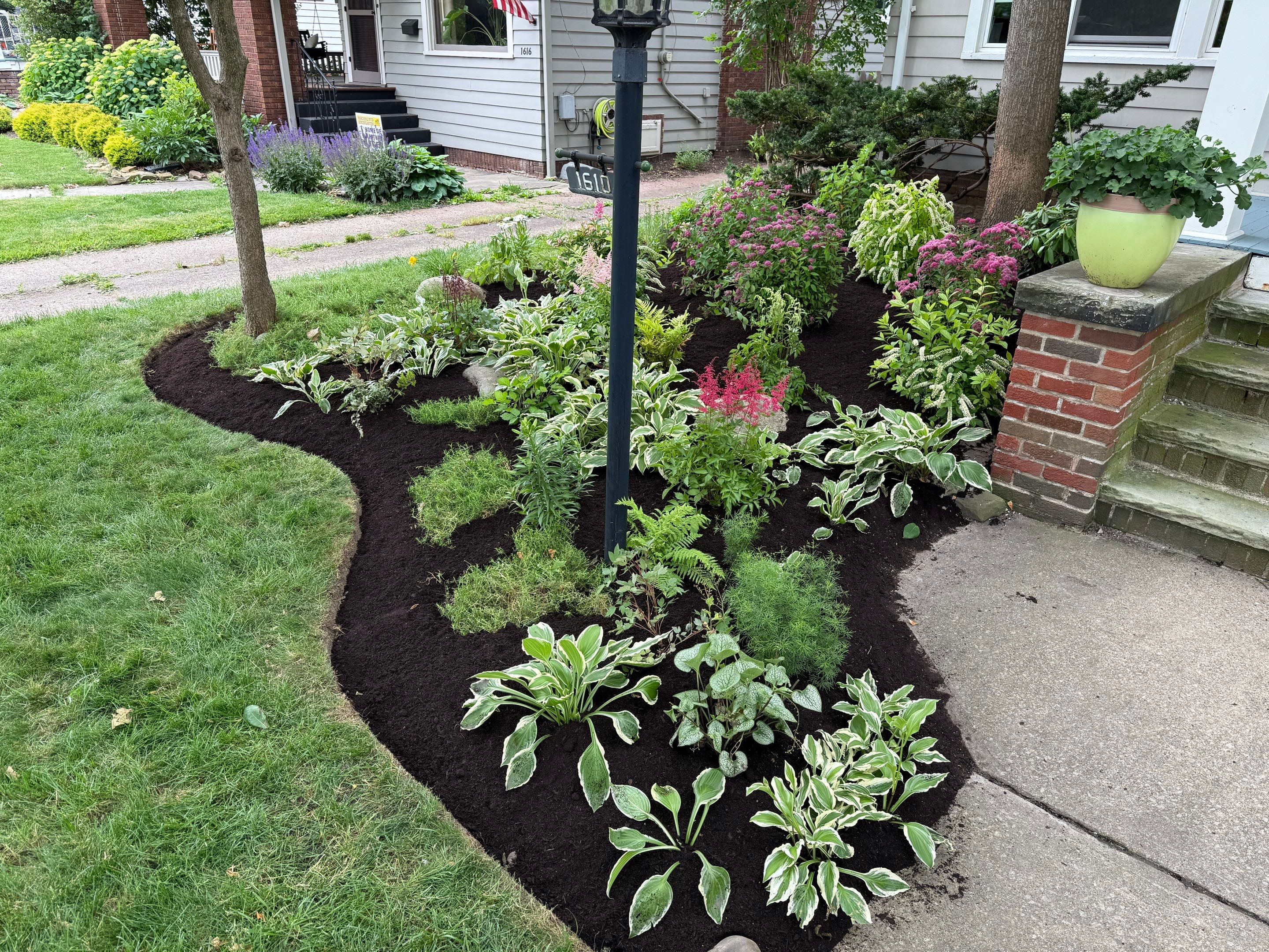 Woodland Flora Project by Elm Rose Gardens