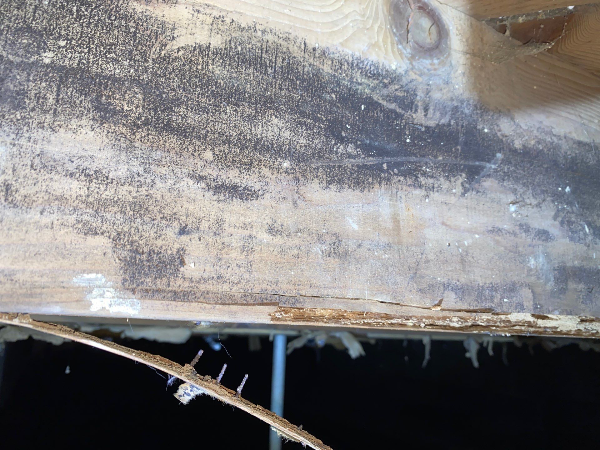 Crawl space mold remediation Burgettstown Pa home by Home Environment Solutions