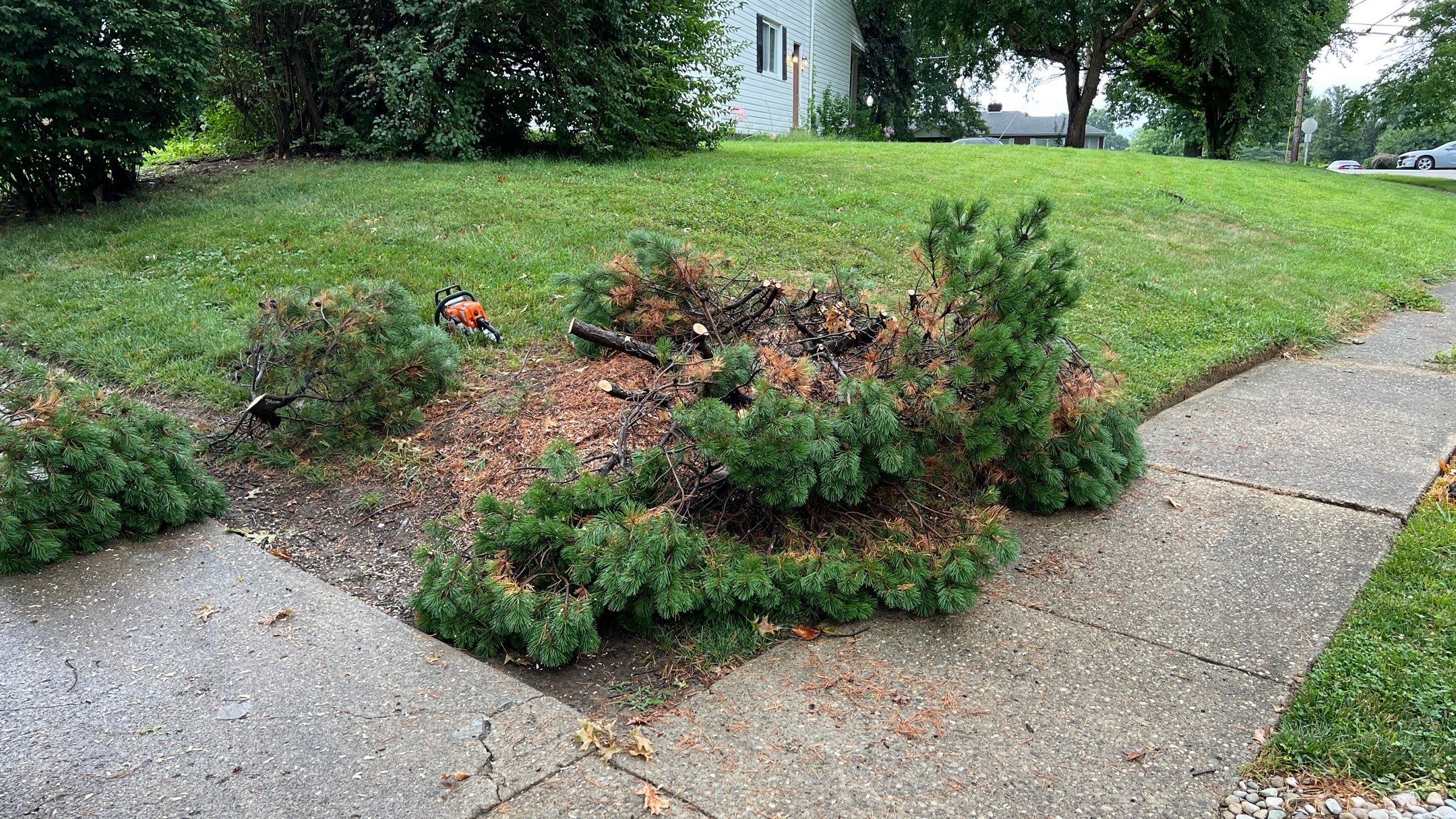 Landscape Tear Out & Install by Reisenberg’s Lawn & Landscape, LLC
