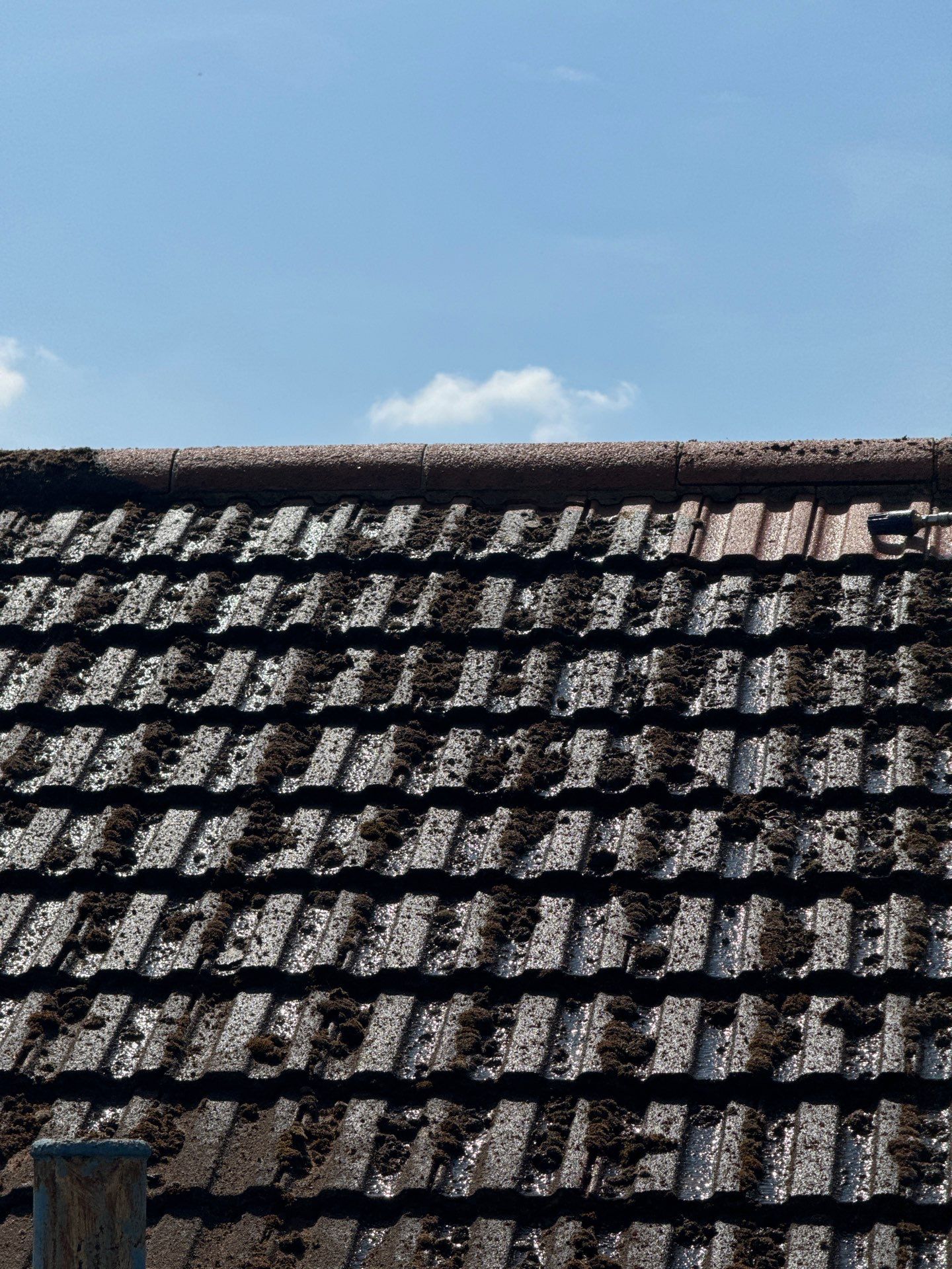 Roof Clean - Biocide Treatment using Honda 15lpm Low Pressure Washing Machine by Ges Exterior Cleaning ltd